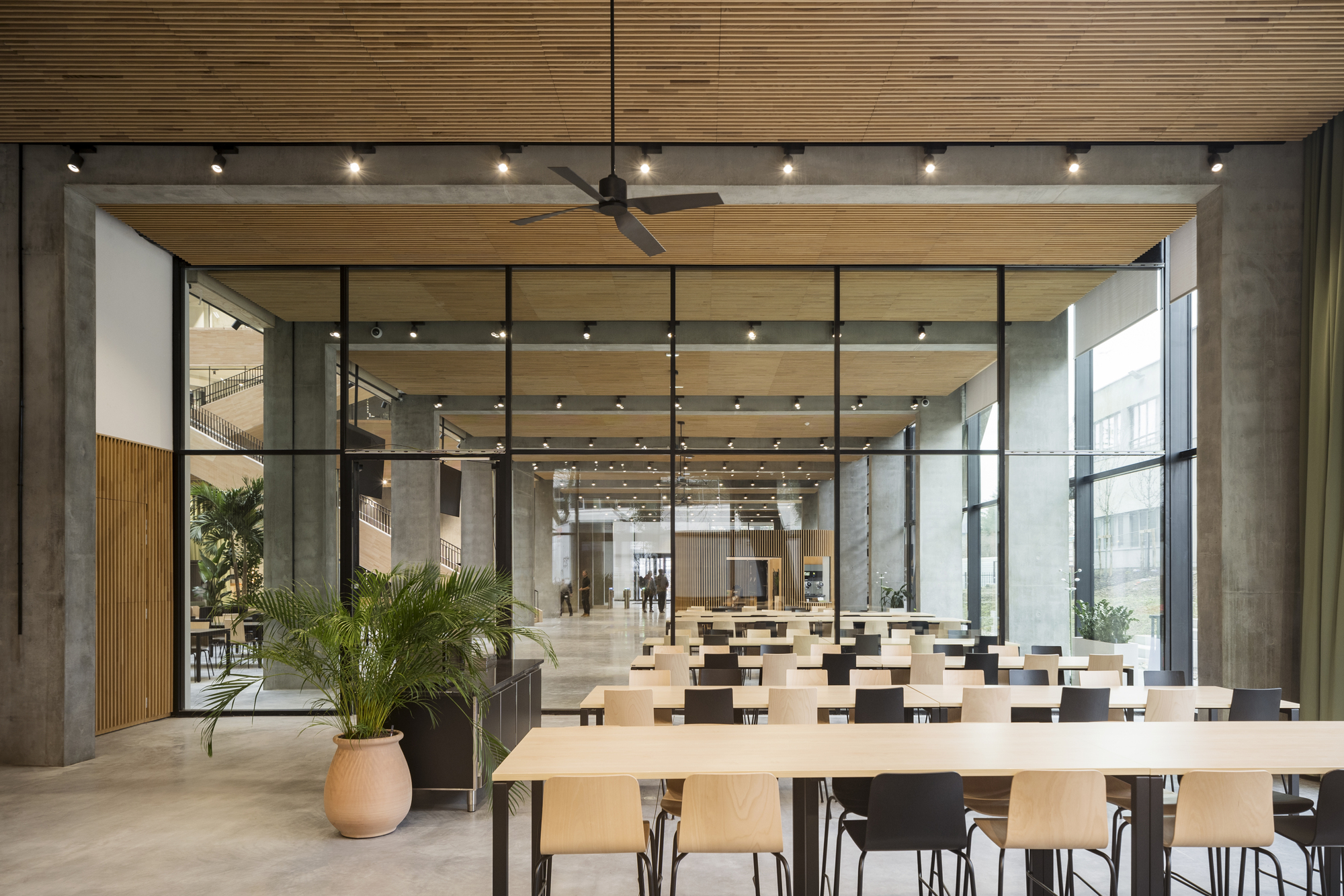 Open canteen interior with timber ceiling panels, concrete columns, potted palms and rows of tables