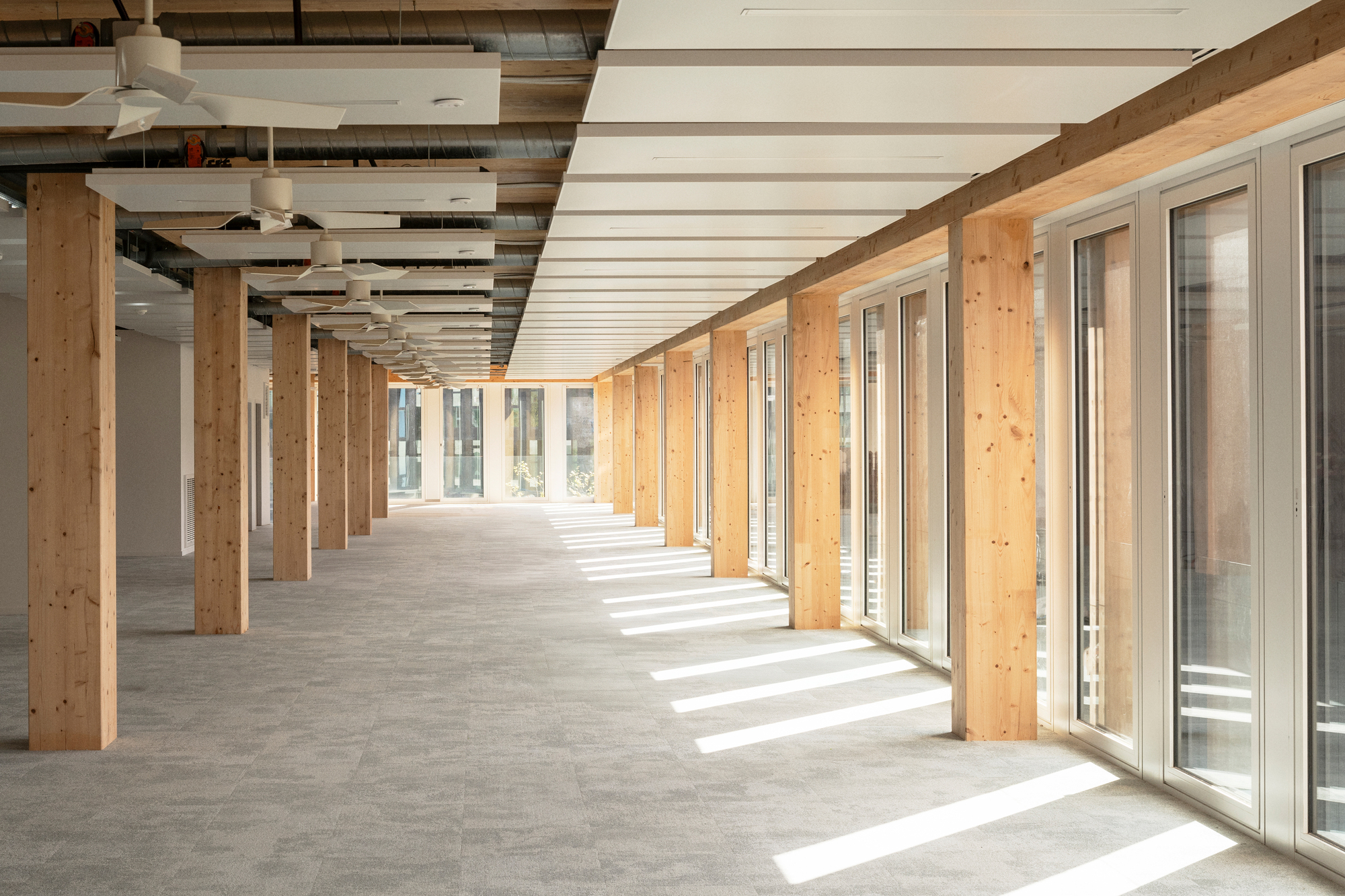 Long interior corridor with exposed timber columns, white ceiling slats and sunlight streaming across concrete floor