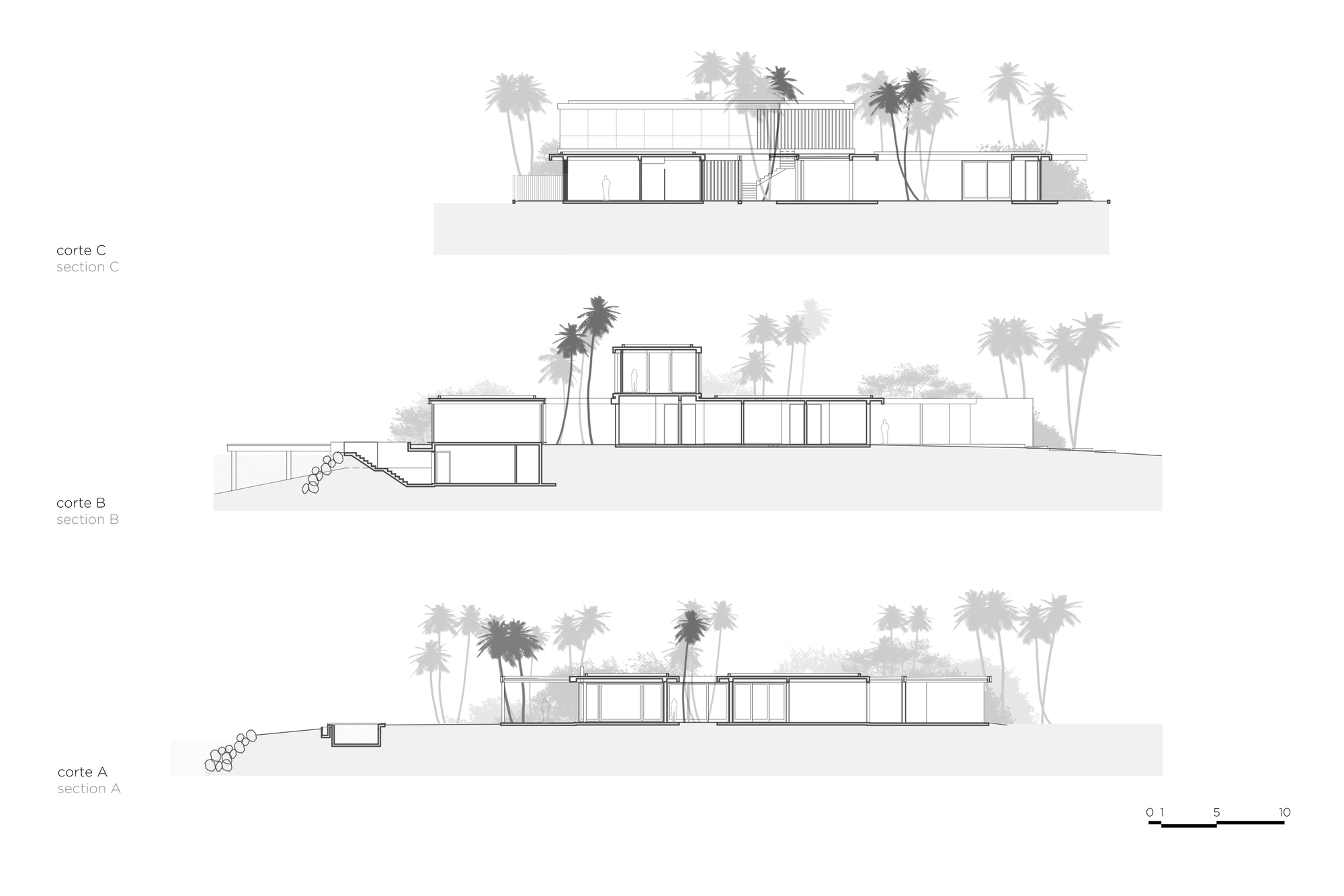 Section drawings showing split-level volumes and palm trees along the sloping site topography