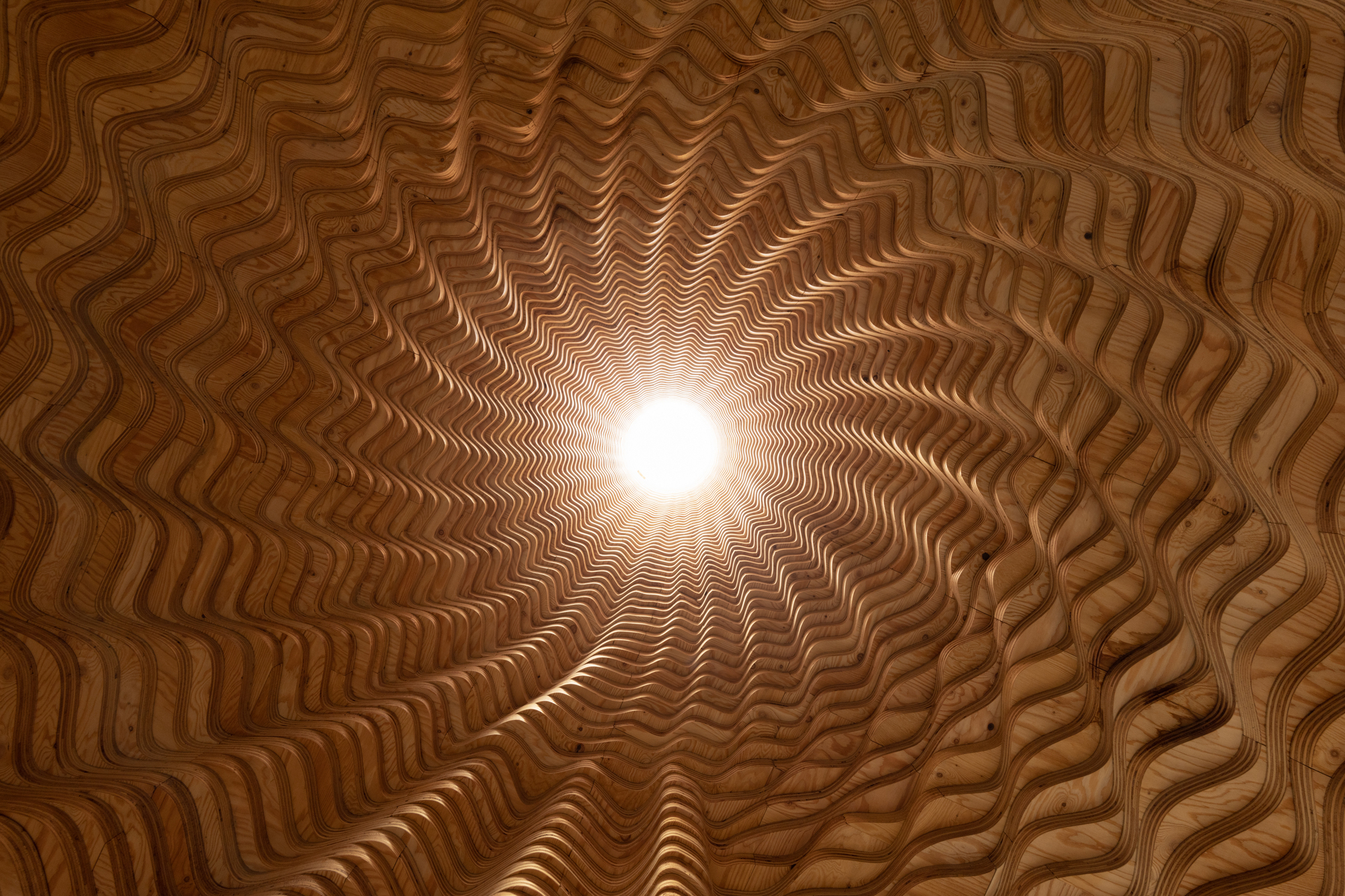 Upward view through ribbed timber oculus with sunlight filtering through the central opening