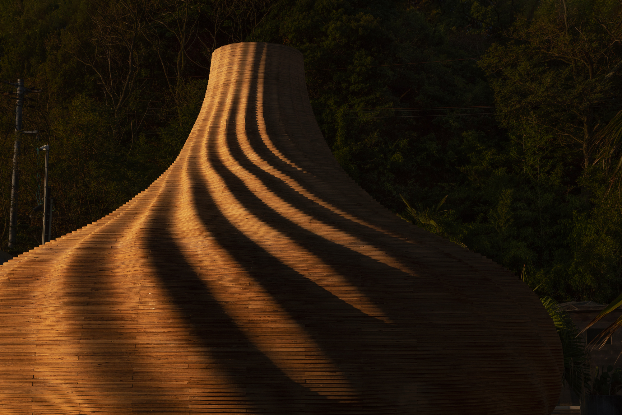 Bulbous timber shell with shadow striations cast across its ridged surface at night