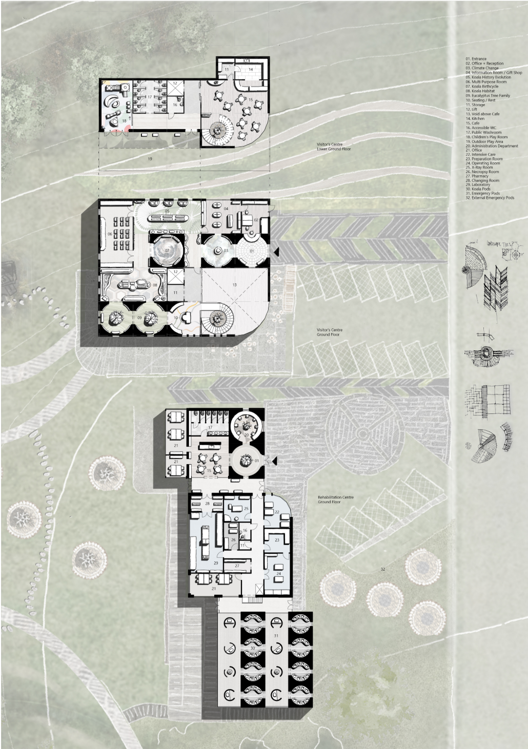 Masterplan of a sustainable koala rehabilitation center integrated with wetlands, educational trails, and ecological landscapes.
