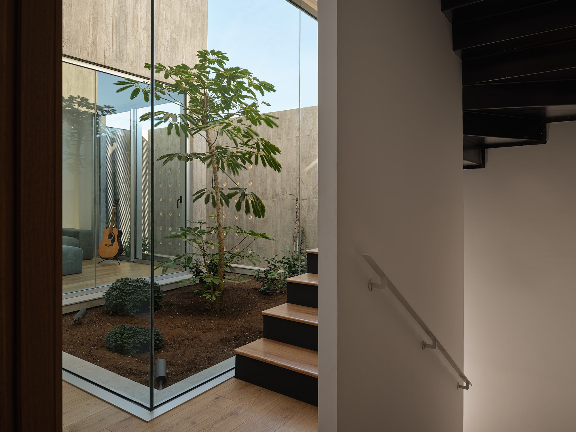 Glass-enclosed internal courtyard with young tree beside timber and steel staircase under daylight
