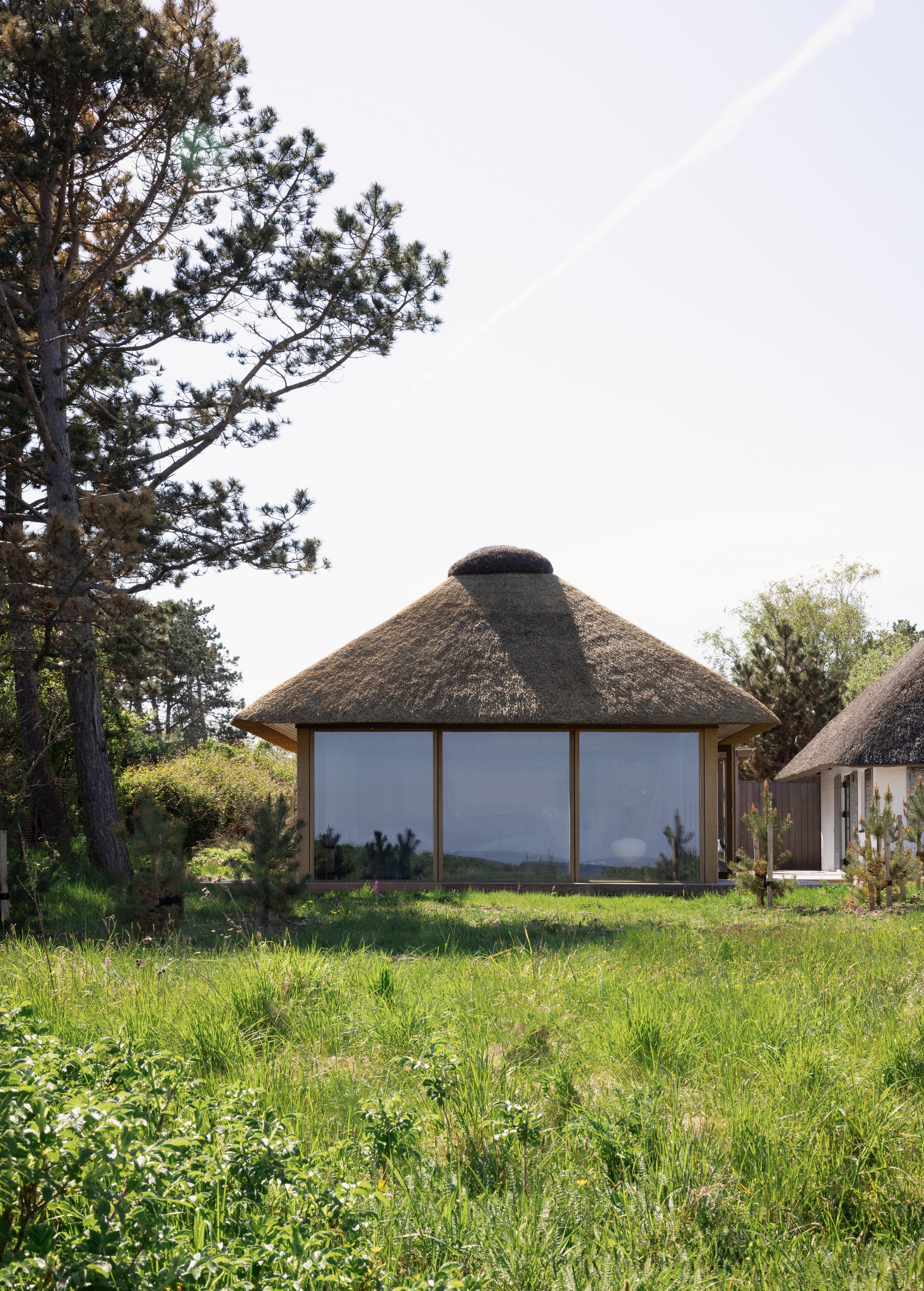 Conical thatched roof pavilion with continuous glazing set in a grassy meadow with pine trees