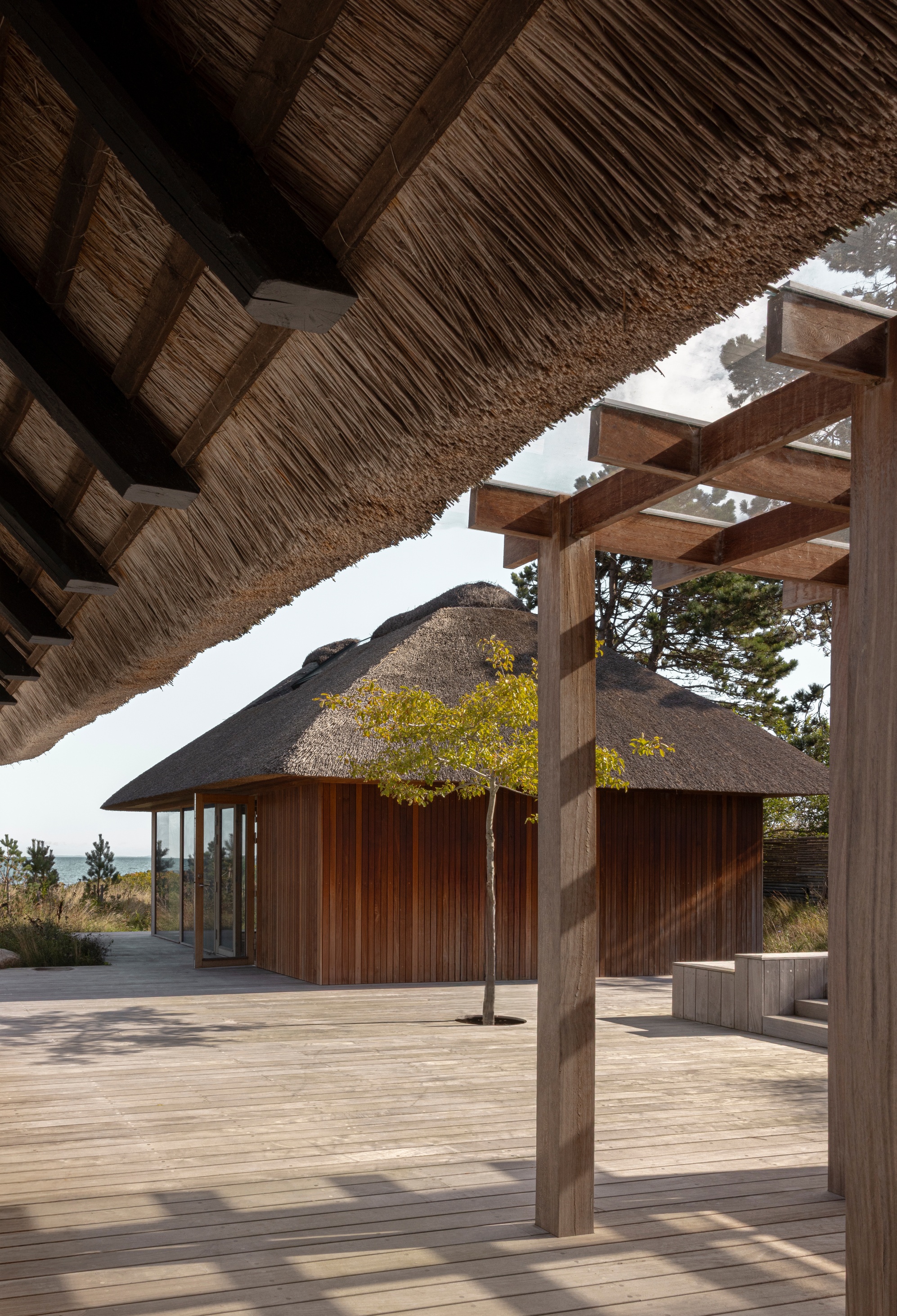 Timber deck with pergola showing exposed thatched eaves and adjacent vertical wood-clad volume