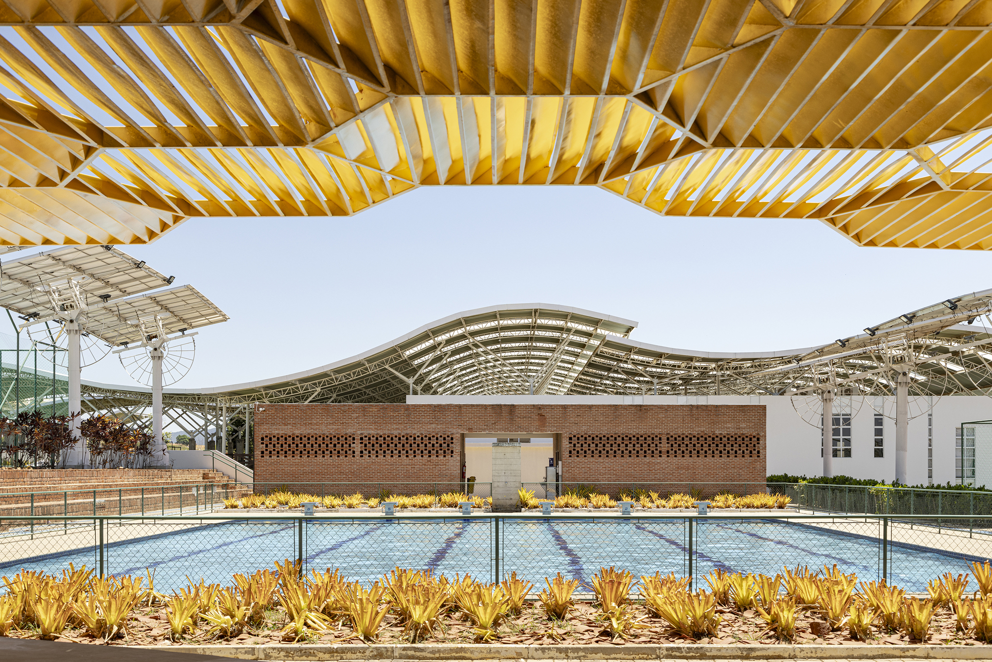 Outdoor swimming pool framed by timber pergola with yellow slatted canopy and agave plantings