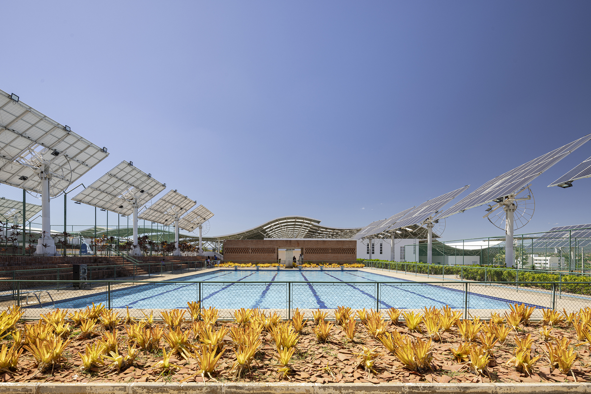 View across the lap pool toward the latticed pavilion with planted beds of yellow flowering succulents