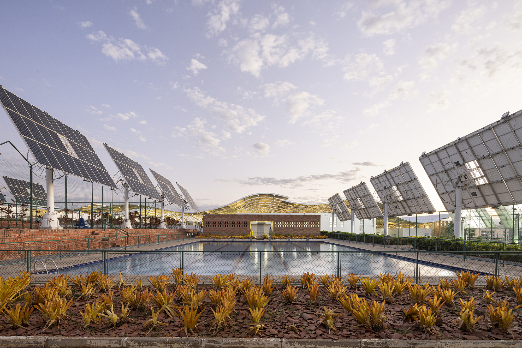 Lap pool at dusk framed by solar arrays and planted bed with latticed roof structure beyond