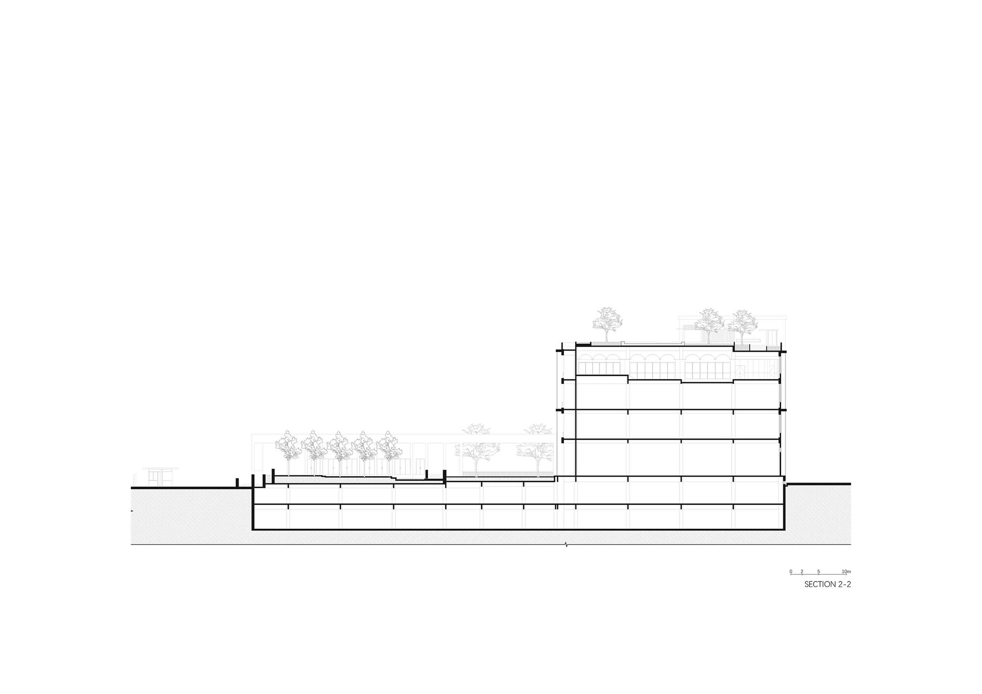 Section drawing showing the horizontal base with planted terraces and trees against grade