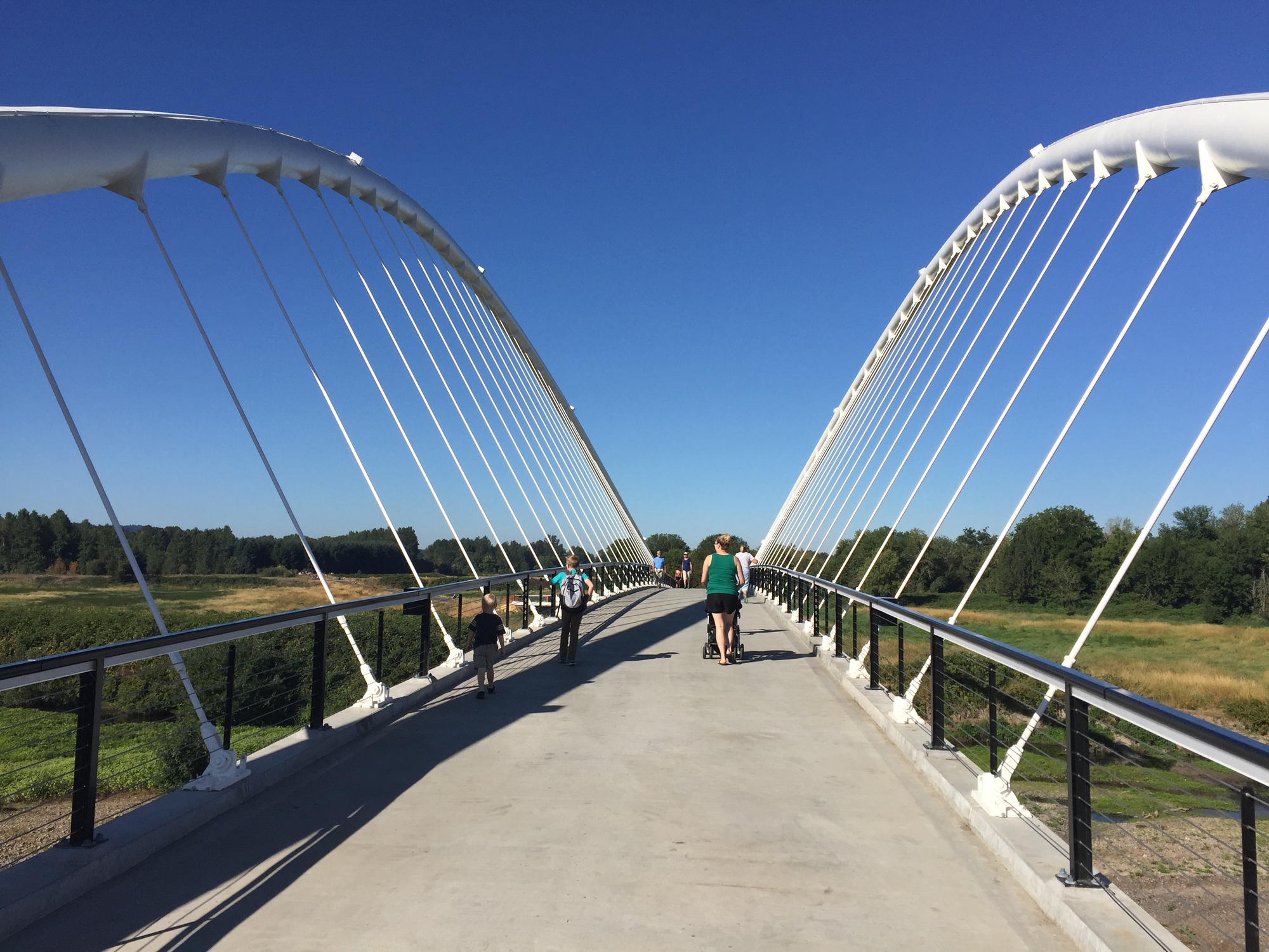 On-deck view of the pedestrian bridge with twin arching cables and people walking in bright sunlight