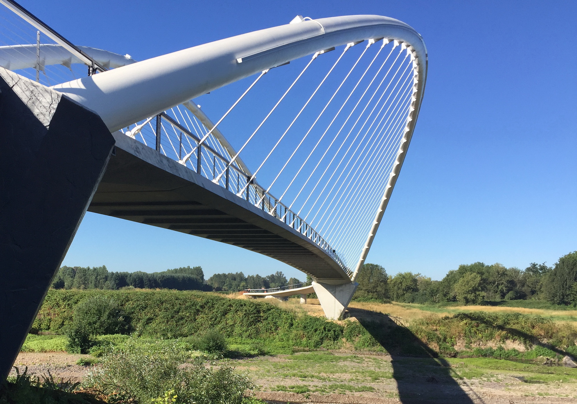 Side view showing the curved white arch and cable rigging above the bridge deck and landscape