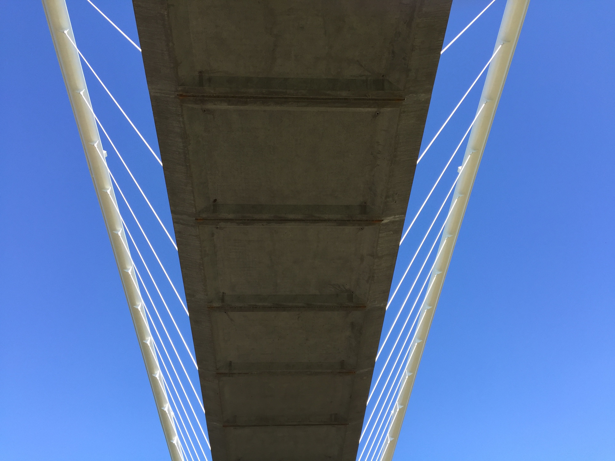 View from below showing the concrete deck underside framed by paired white arches and cable rigging