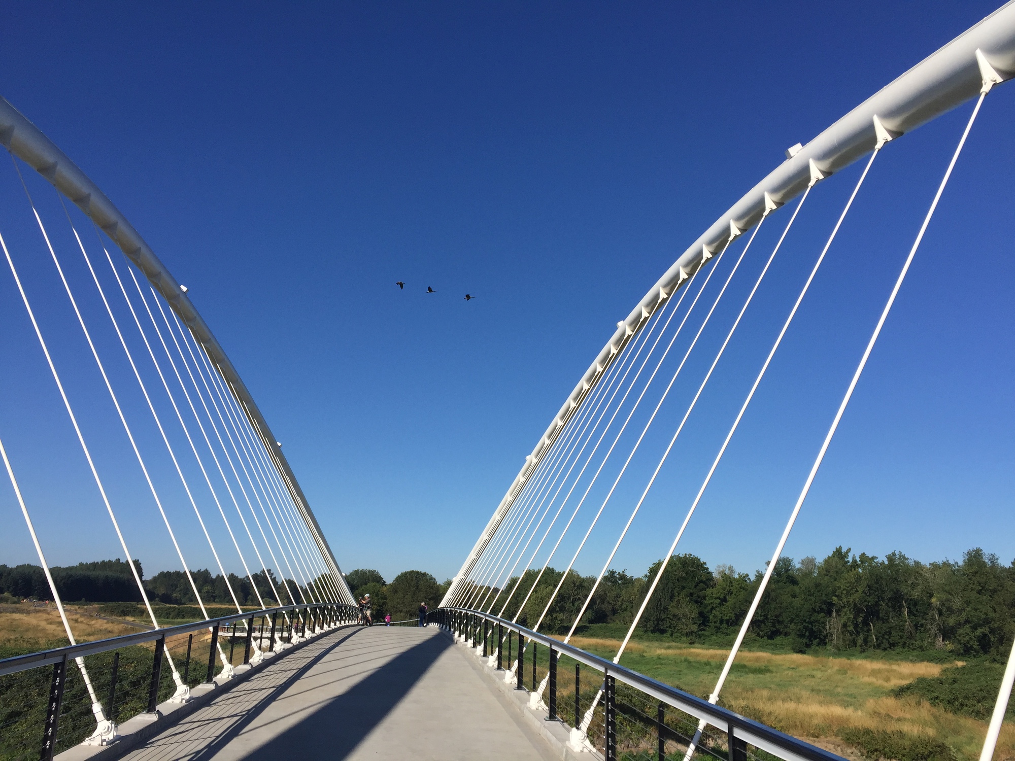 On-deck view of the suspension bridge with twin curved arches and cable stays under clear blue sky