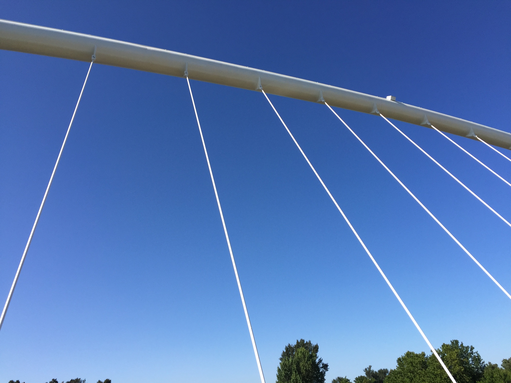 Upward view of radiating suspension cables attached to the curved white steel arch
