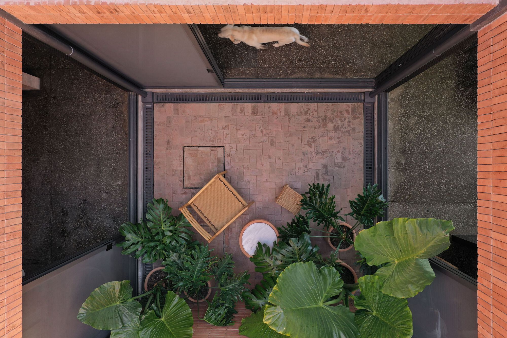 Overhead view into courtyard planted with large-leaved tropicals surrounded by brick and concrete walls