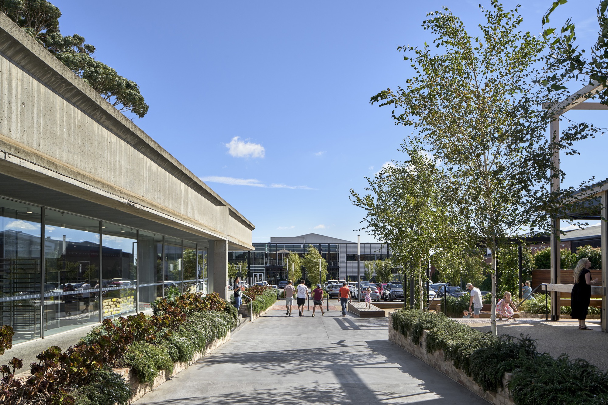 Pedestrian plaza with planted beds and young trees connecting concrete canopy structure to distant building volumes