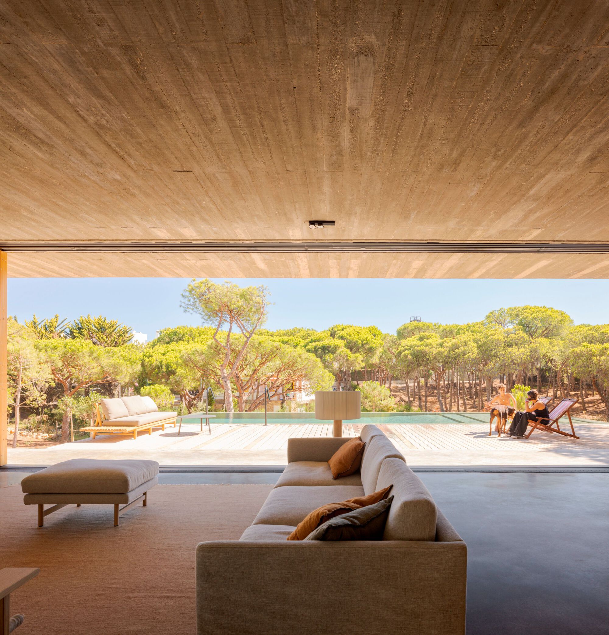 Open living space with timber ceiling looking out to a terrace and pine forest in afternoon light