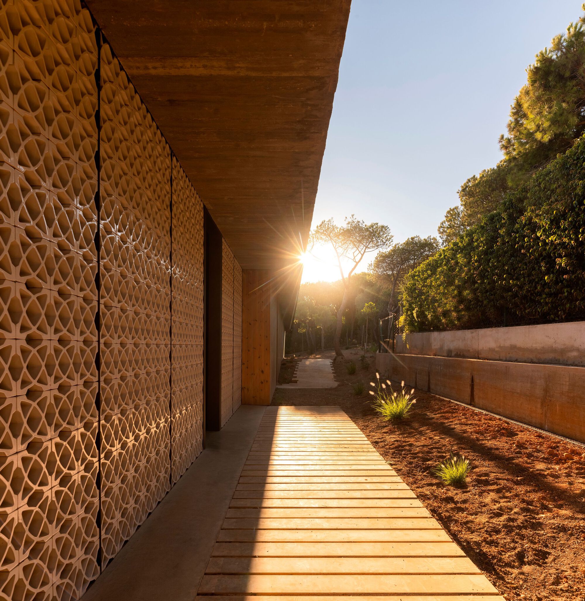 Covered walkway with patterned terracotta screen wall and timber soffit at sunset