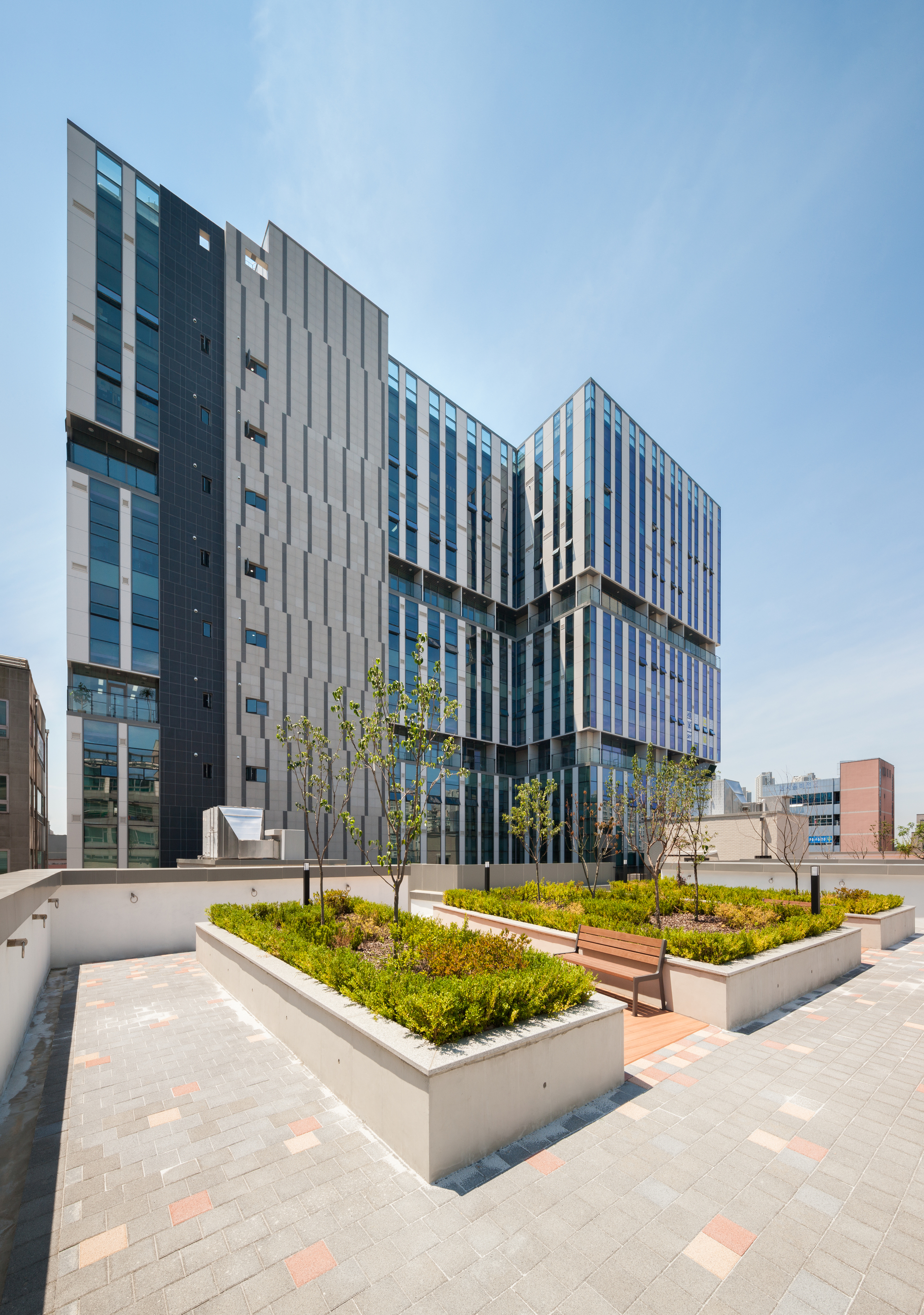 Rooftop terrace with raised planted beds and young trees facing the articulated rear facades