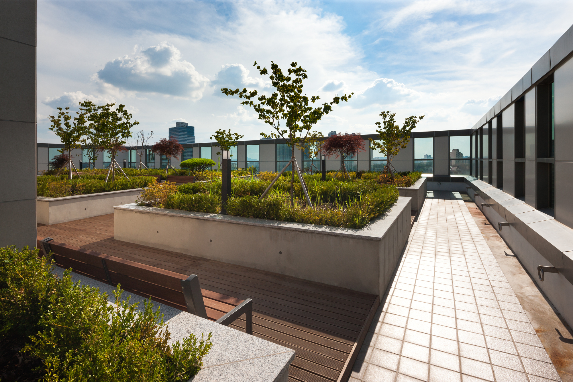 Rooftop garden terrace with concrete planters, timber benches, and deciduous trees against cloudy skies