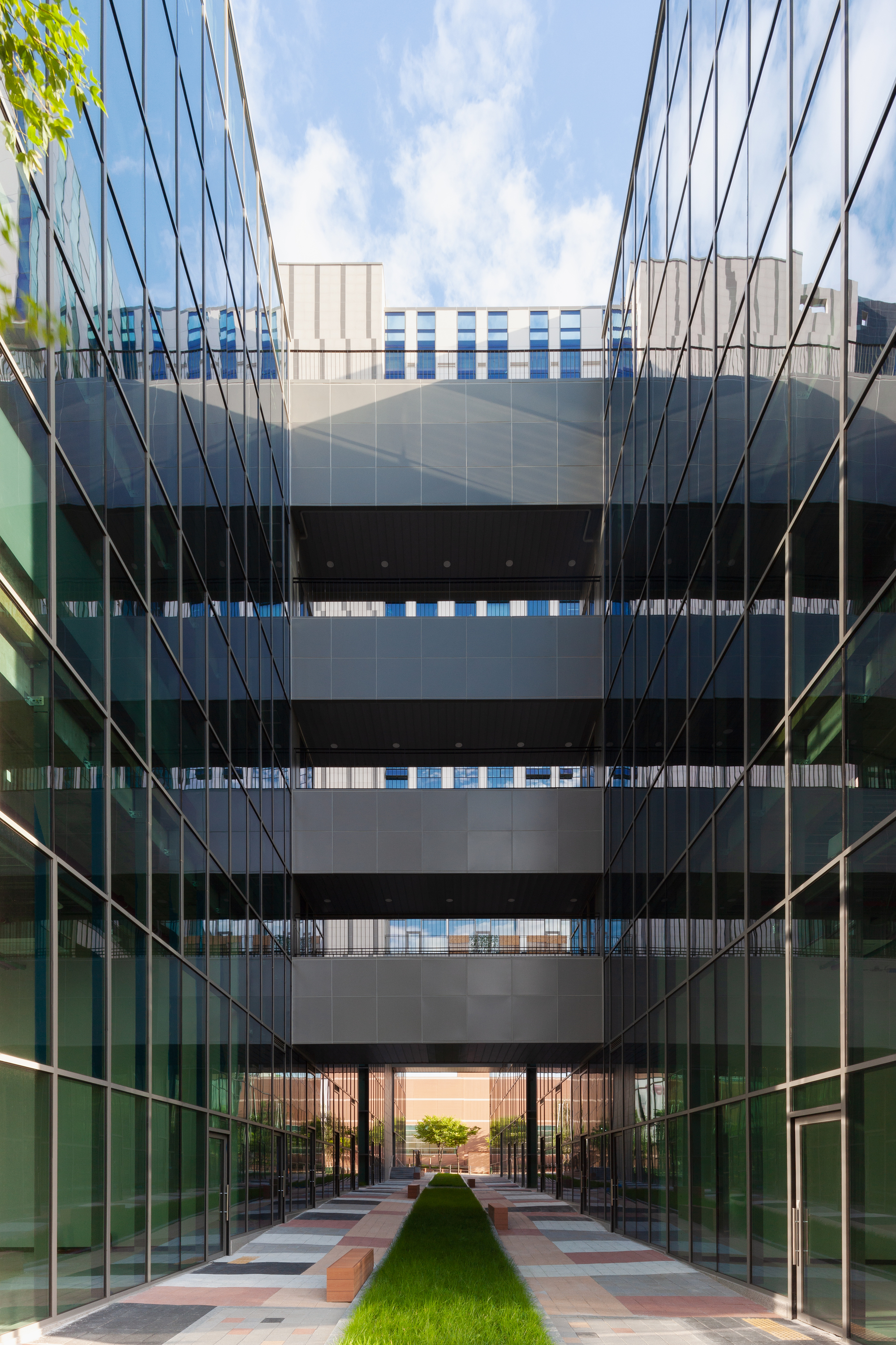 Central courtyard with glass walls on both sides and a grass strip leading to the entry