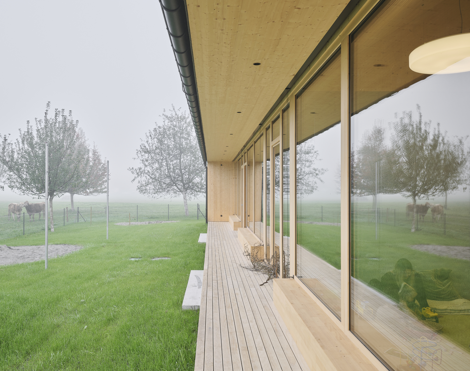 Covered timber deck with floor-to-ceiling glazing and plywood soffit in morning fog
