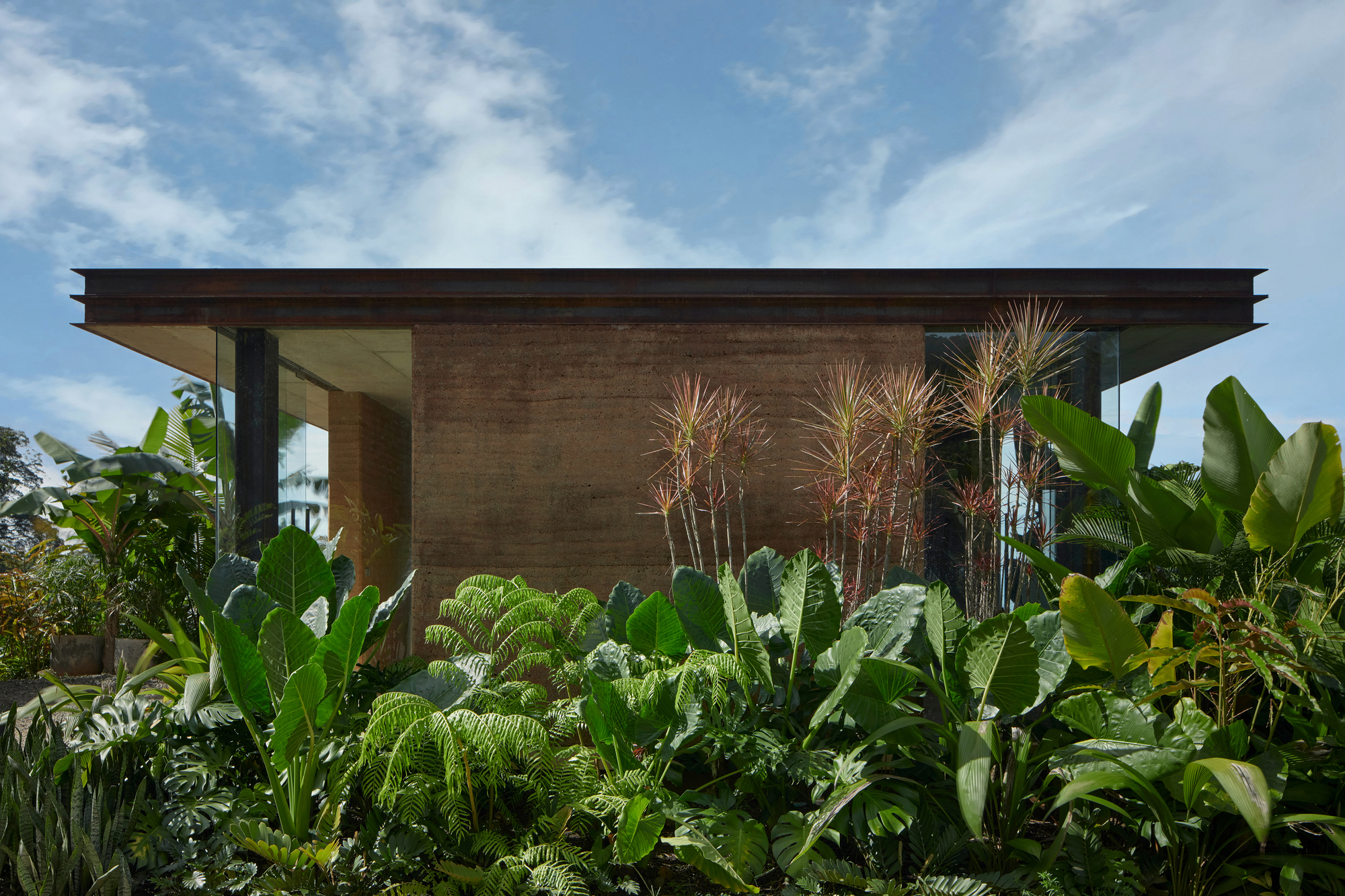 Rammed earth facade with tall ornamental grasses backed by banana plants under a flat timber overhang