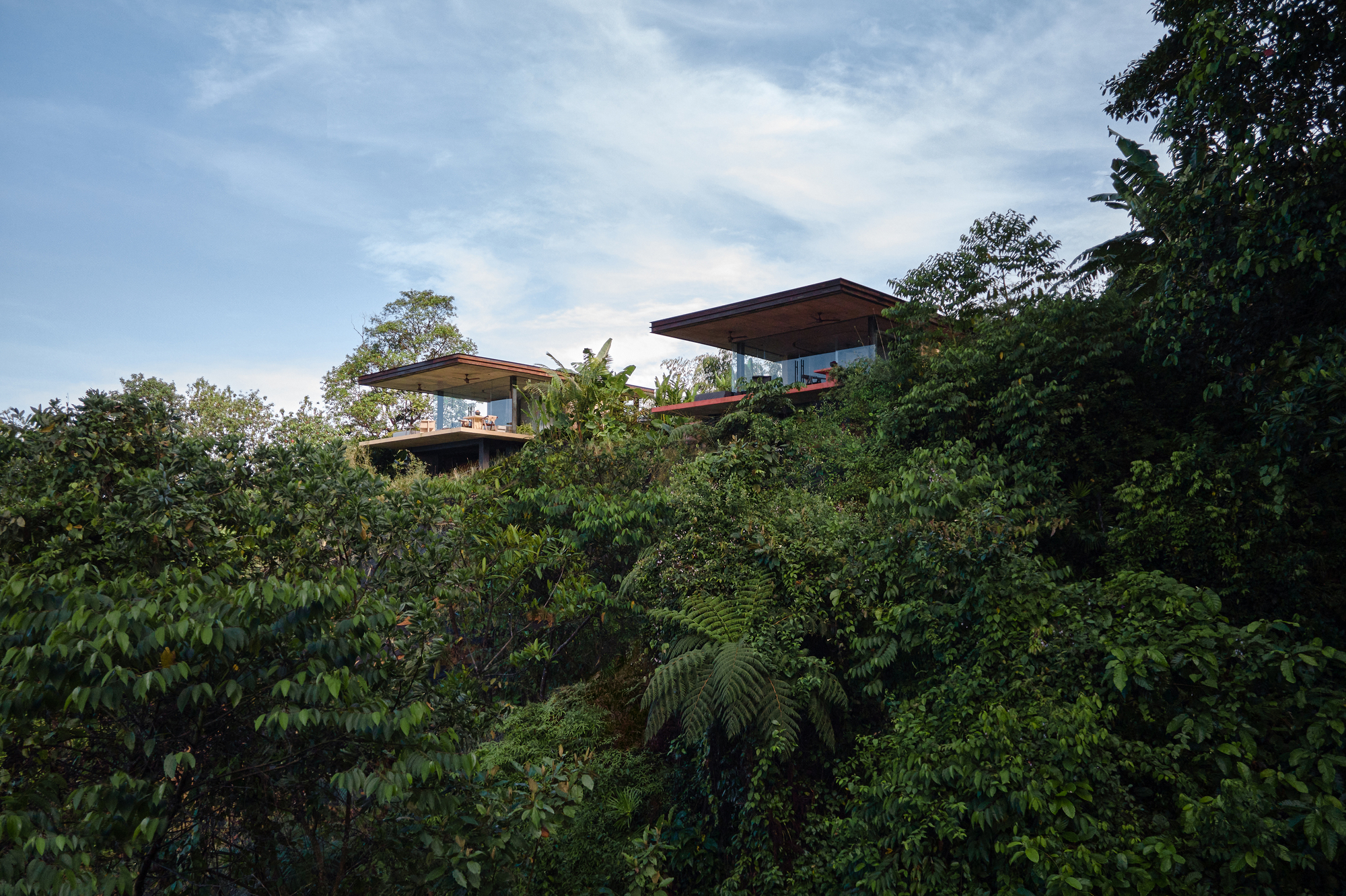 Two pavilions with deep overhangs emerging from lush tropical canopy at dusk