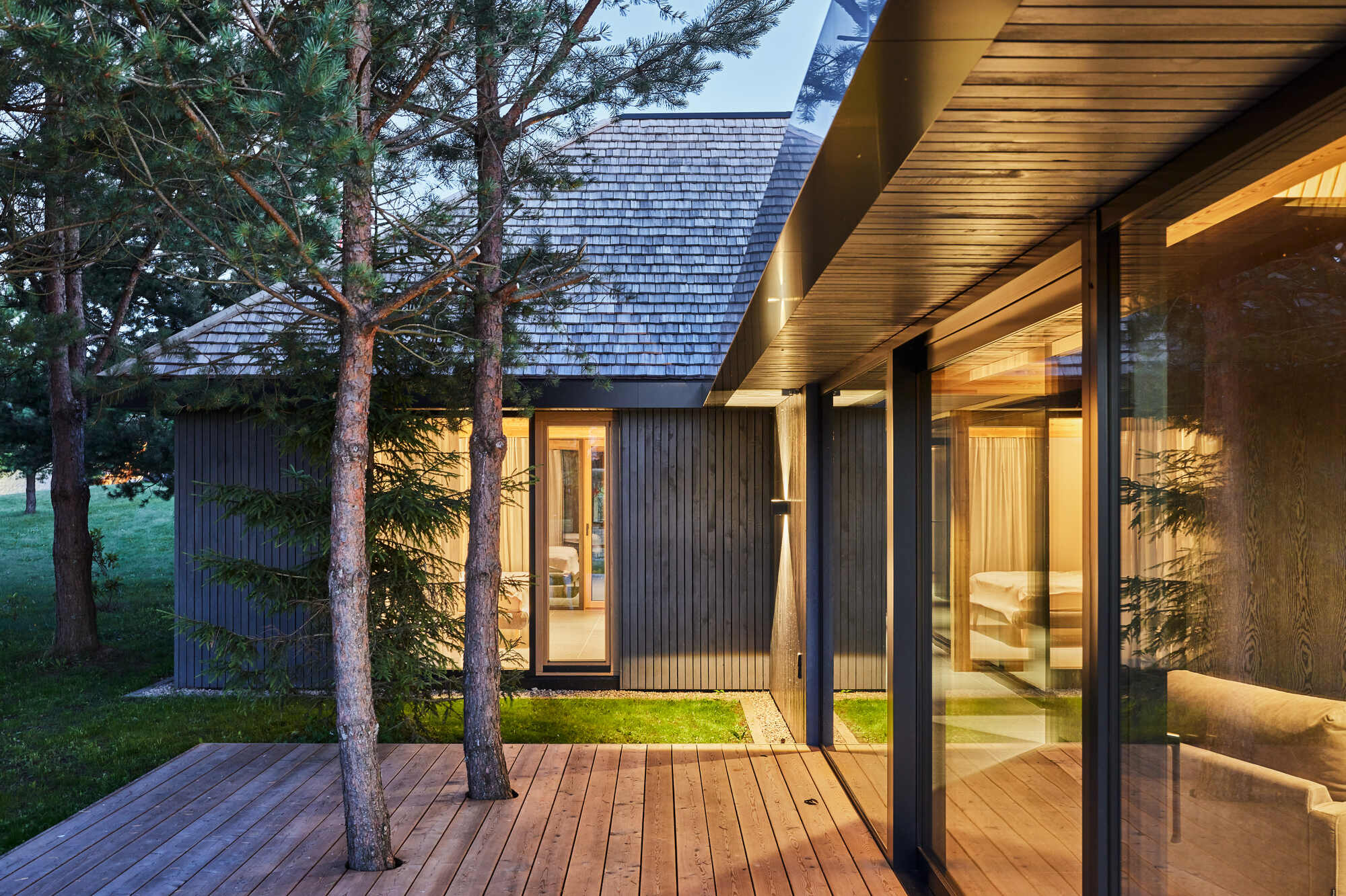 Covered timber deck with preserved pine trees and glass walls illuminated at dusk