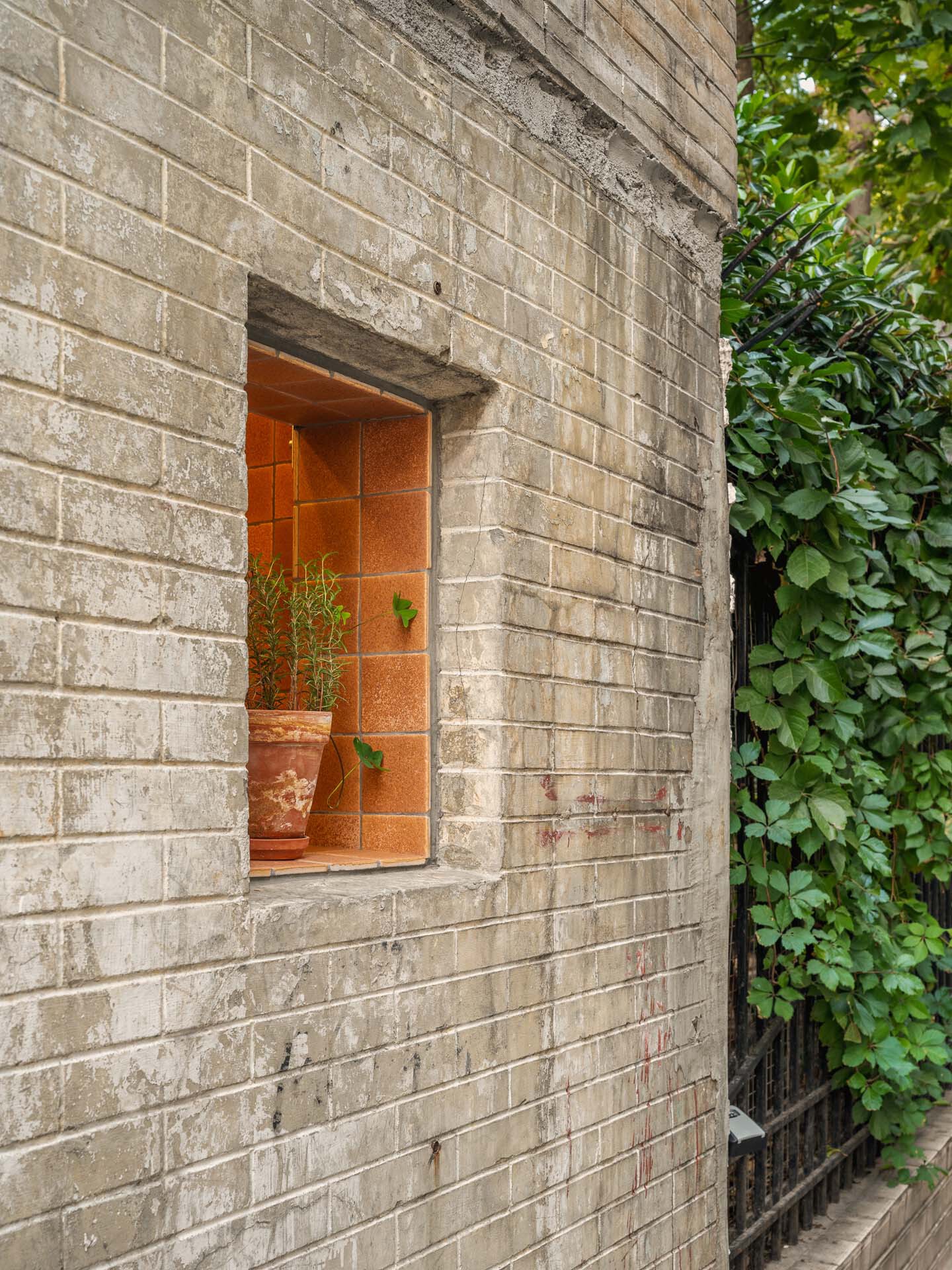 Small window opening framed in weathered concrete block with a potted plant and climbing vines