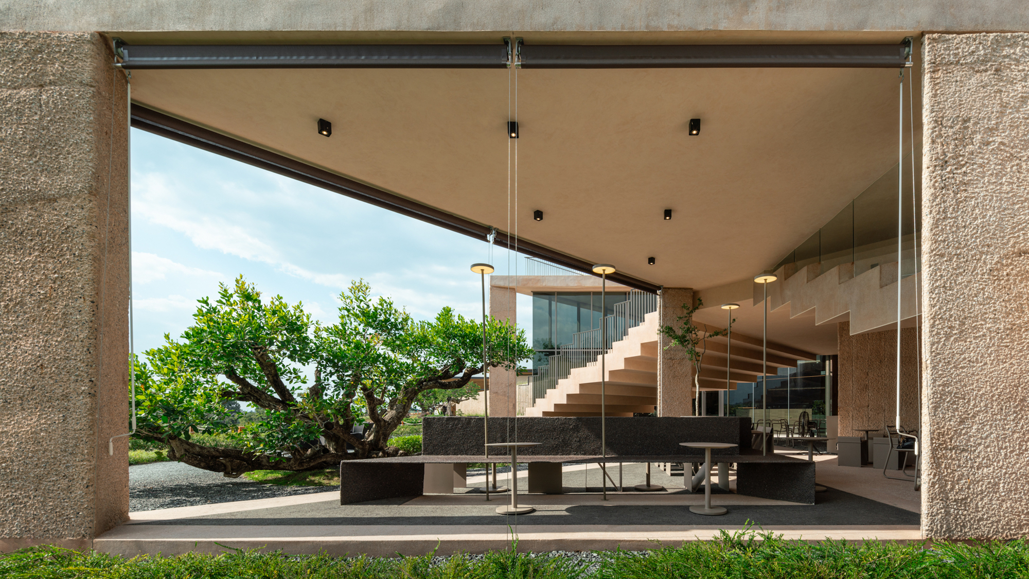 Framed view through the open corner glazing to the courtyard stair and mature tree beyond