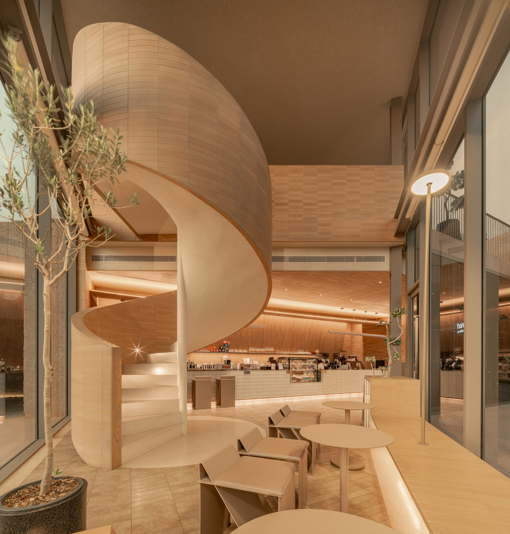 Curved timber staircase descending into a cafe space with potted olive trees