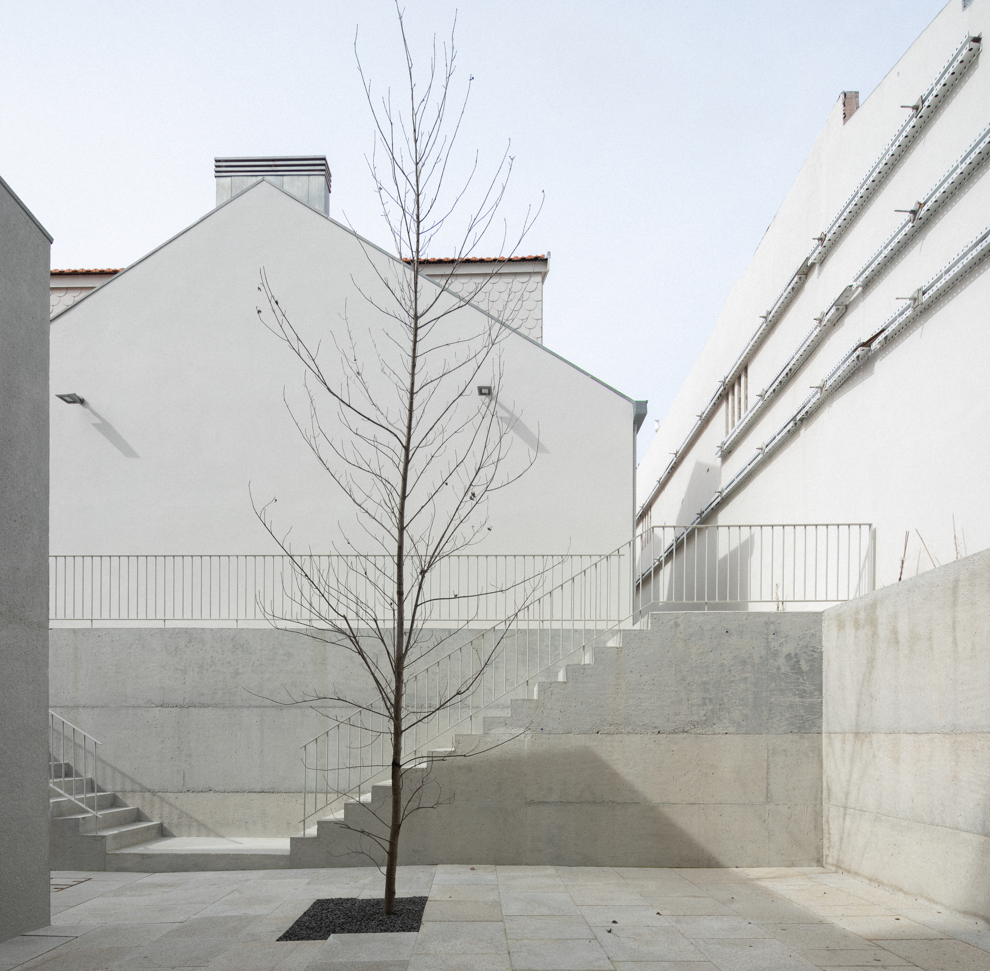 Concrete courtyard with a young bare tree planted in a square opening beside concrete steps
