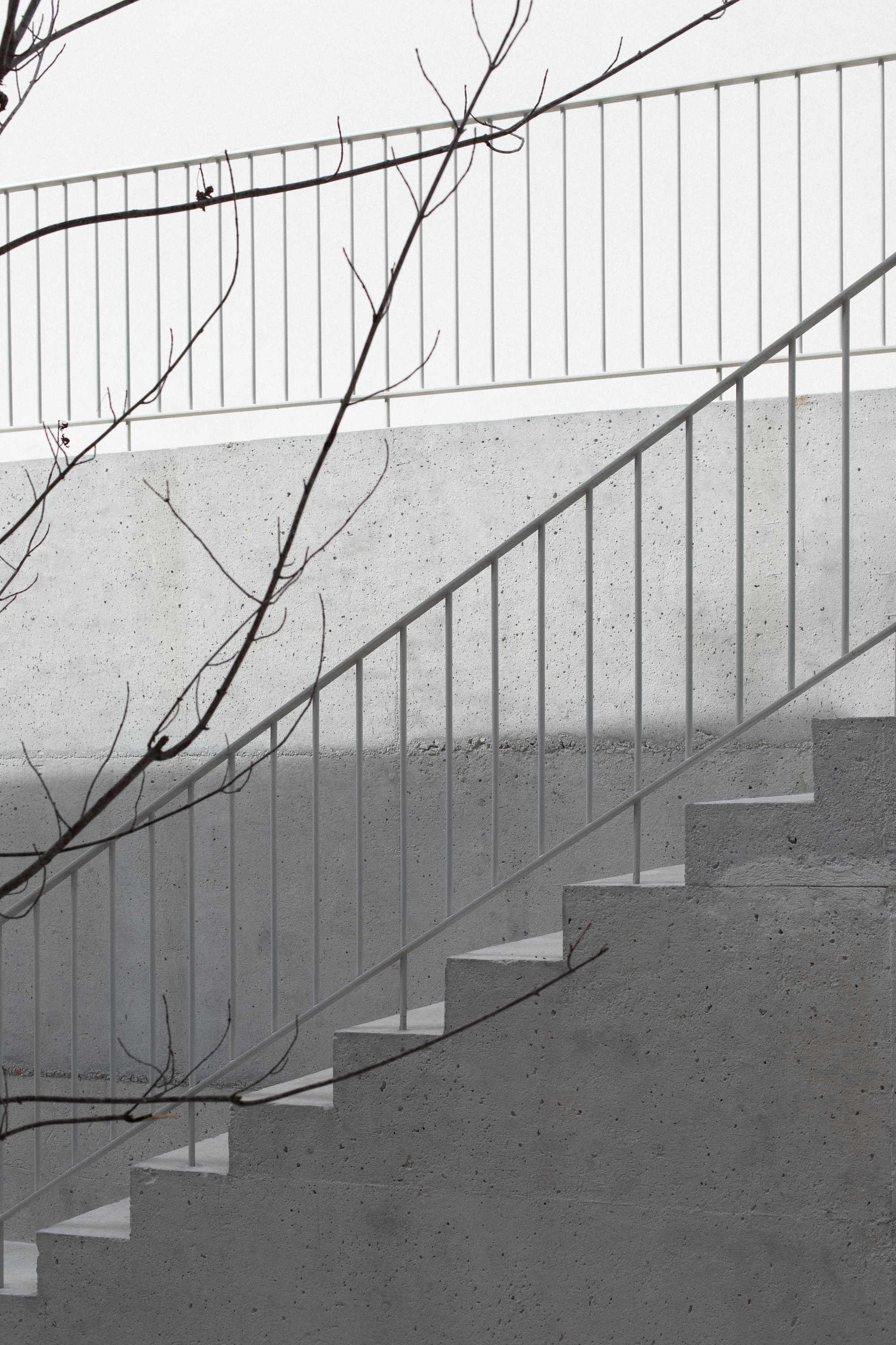 Metal handrail and concrete steps casting diagonal shadow across the wall with bare winter branches