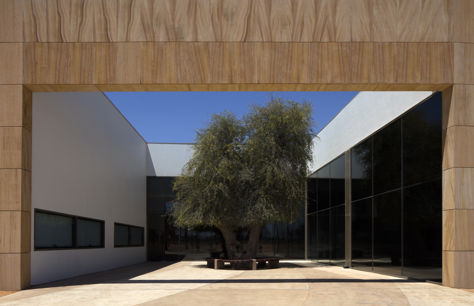Interior courtyard framed by wood-paneled walls with a single tree casting shadow on the paved ground