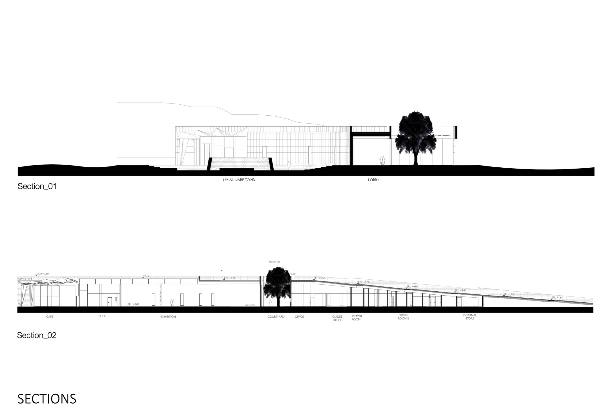 Section drawings showing the amphitheater bowl, internal spaces, and sloping site with tree