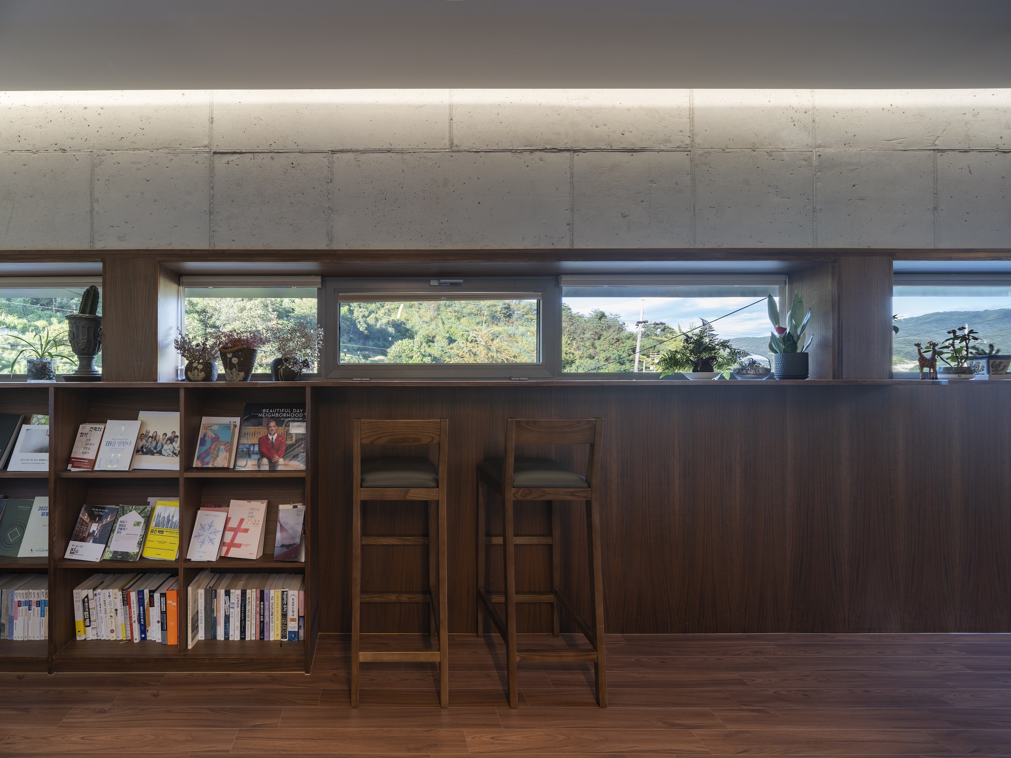 Interior counter with timber bookshelves and stools below a band of clerestory windows admitting daylight
