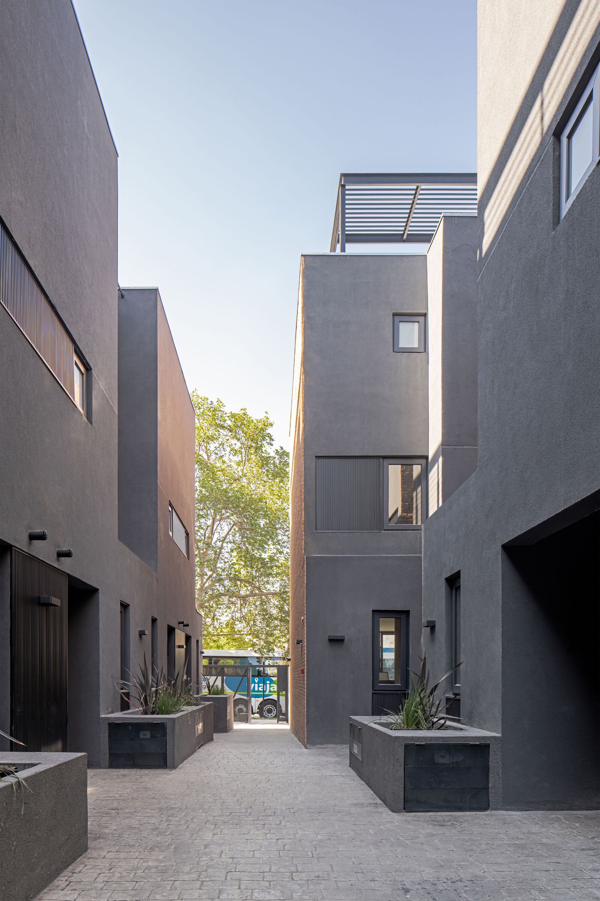 Paved courtyard lane between grey rendered walls with planted concrete boxes and louvered rooftop pergola