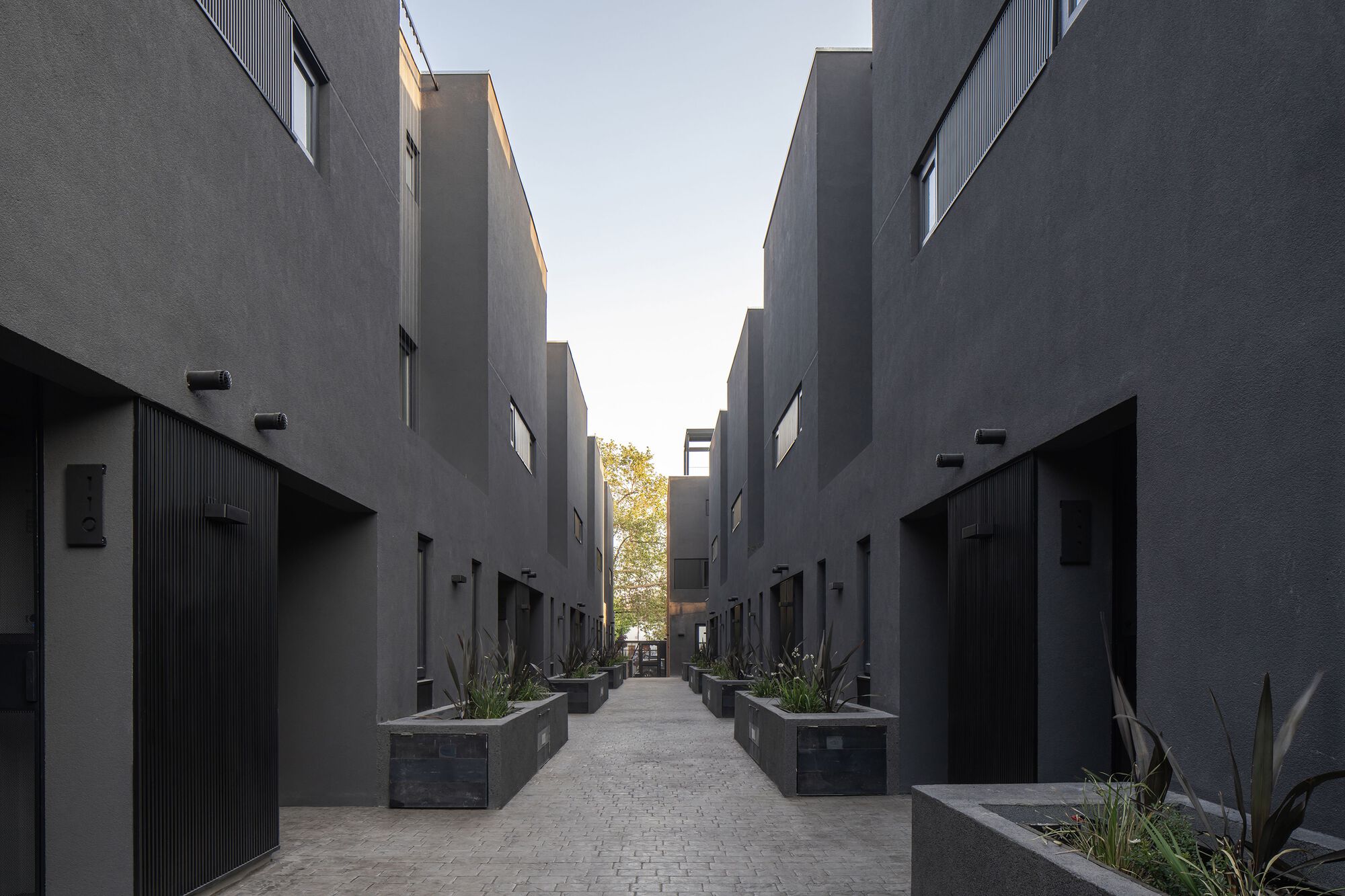 Symmetrical courtyard perspective with grey rendered walls, planted boxes and evening light on distant facade