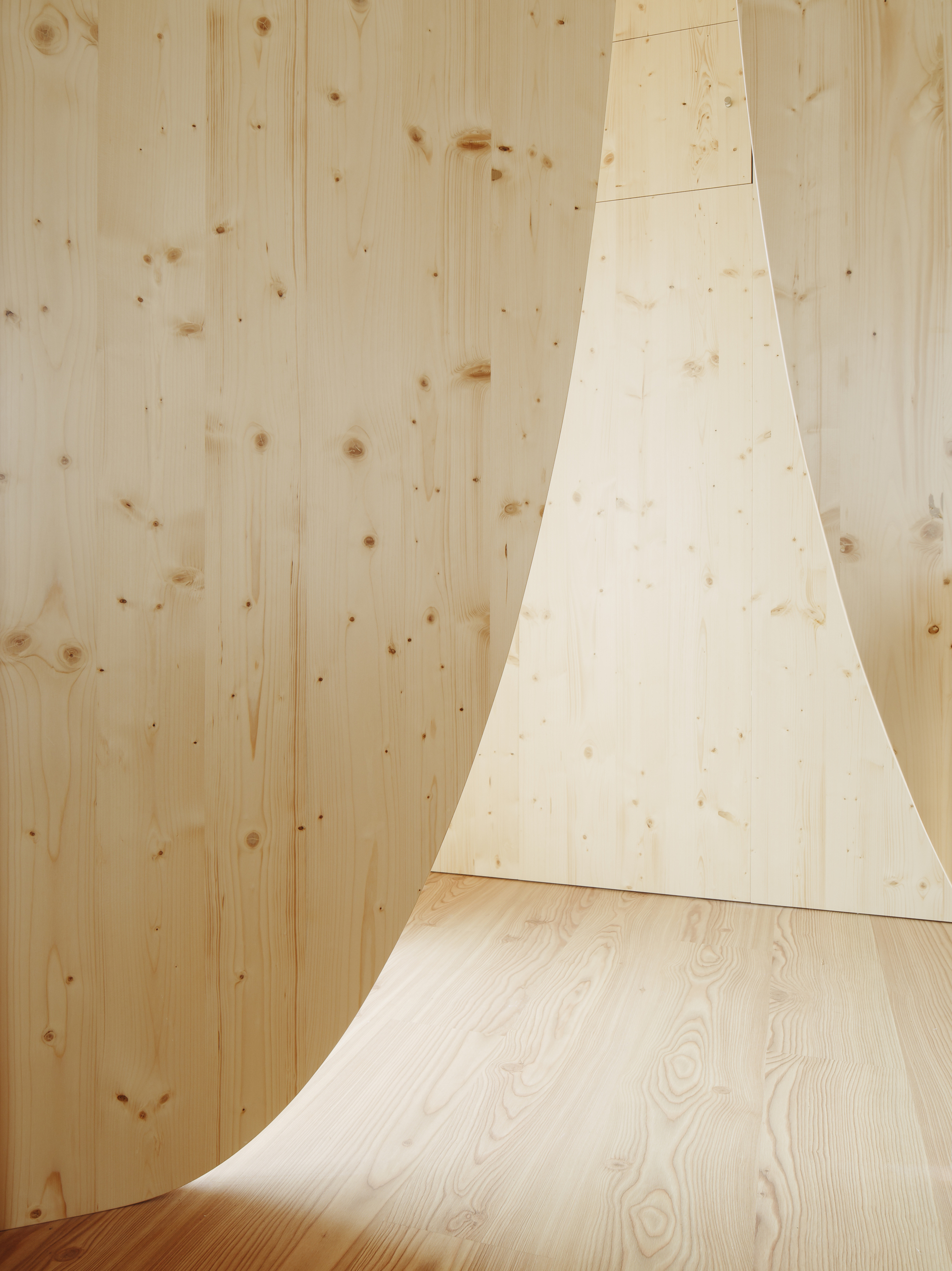 Curved plywood wall meeting flat timber floor in soft natural light