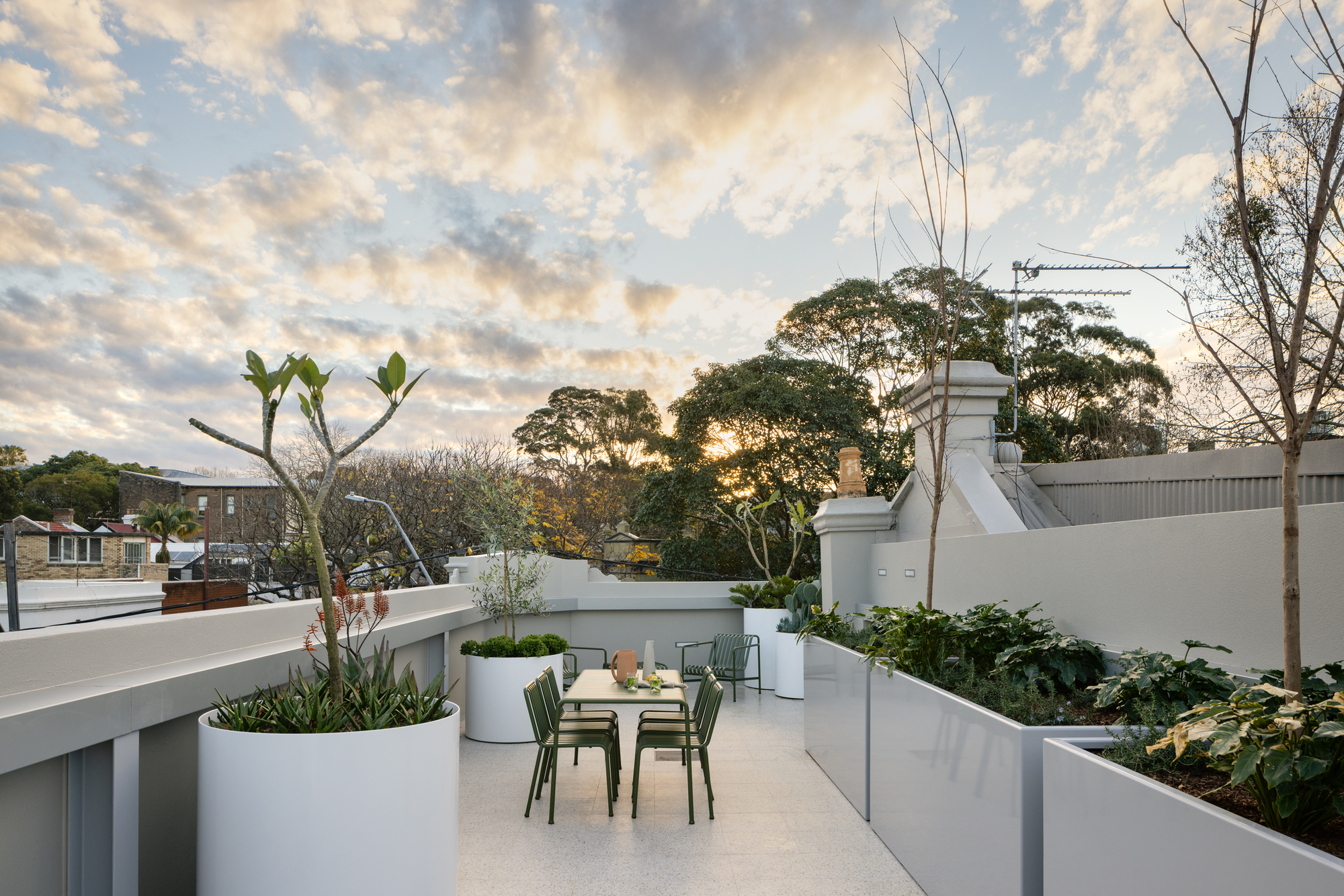 Rooftop terrace with built-in planters, dining table and mature trees visible in the surrounding neighborhood