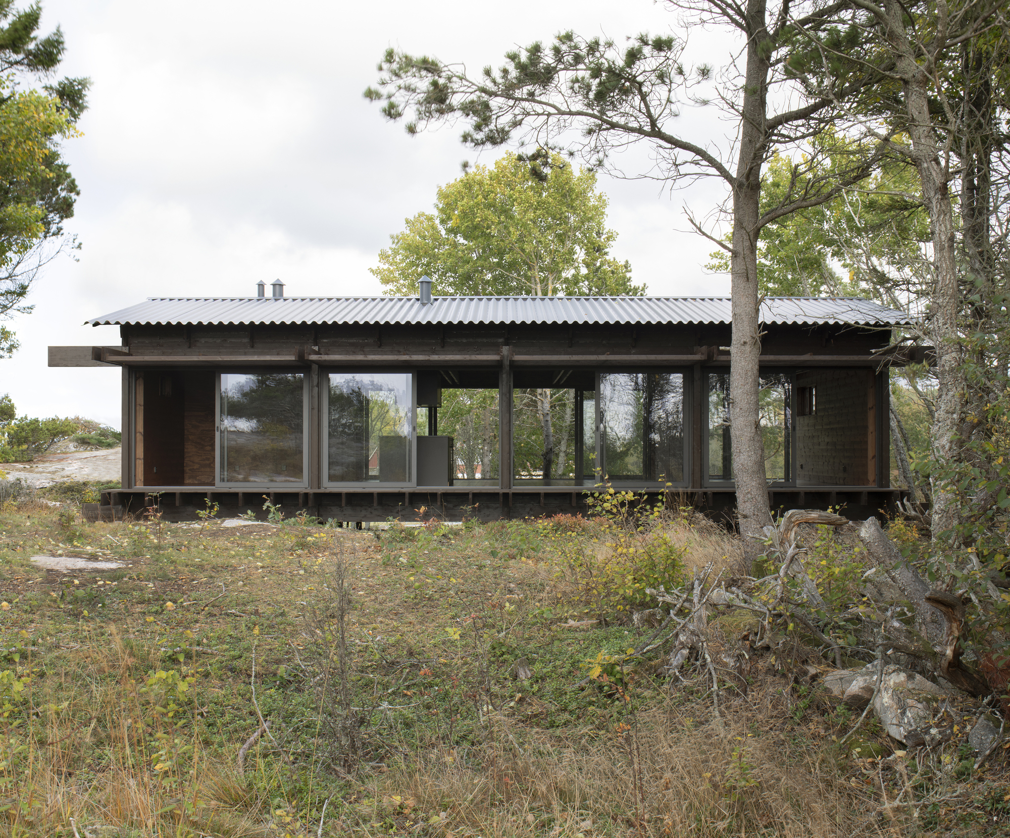 Elevated timber pavilion with corrugated metal roof and glazed facade nestled among pine trees and rocky ground