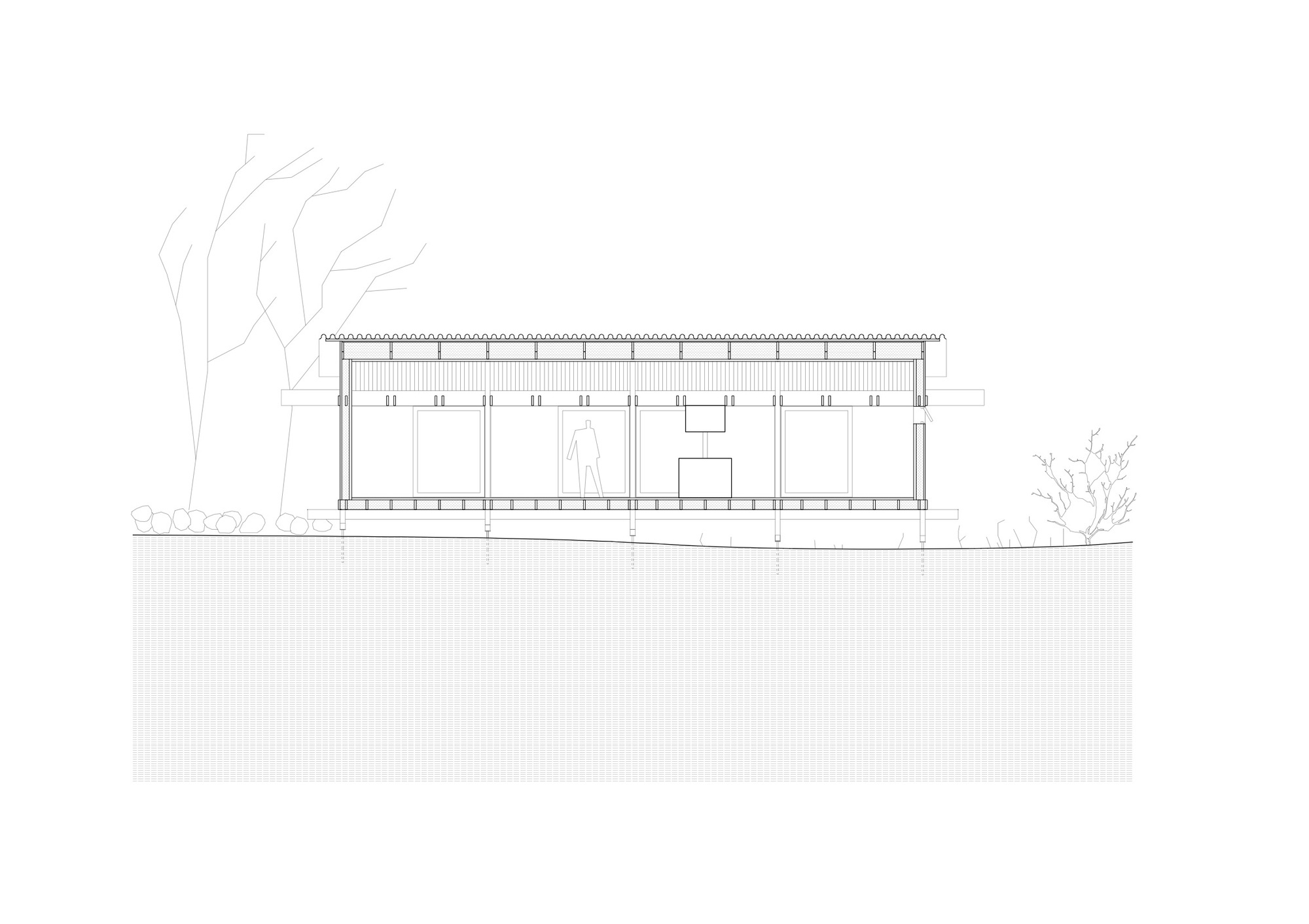 Section drawing revealing the single-story pavilion with corrugated roof set into sloping ground beside leafless trees