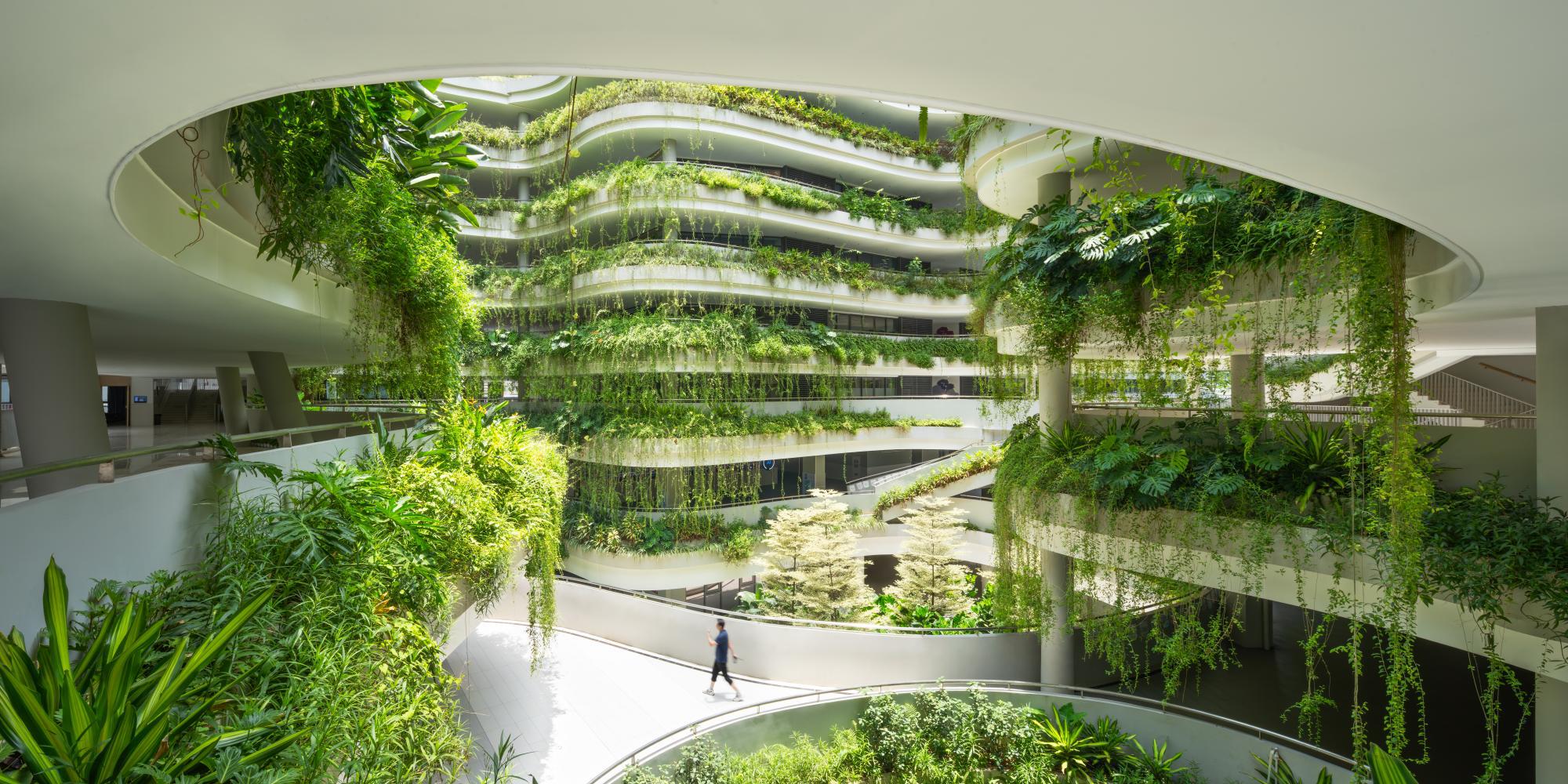 Interior atrium with spiraling planted terraces and cascading vines under a circular skylight with a person walking below