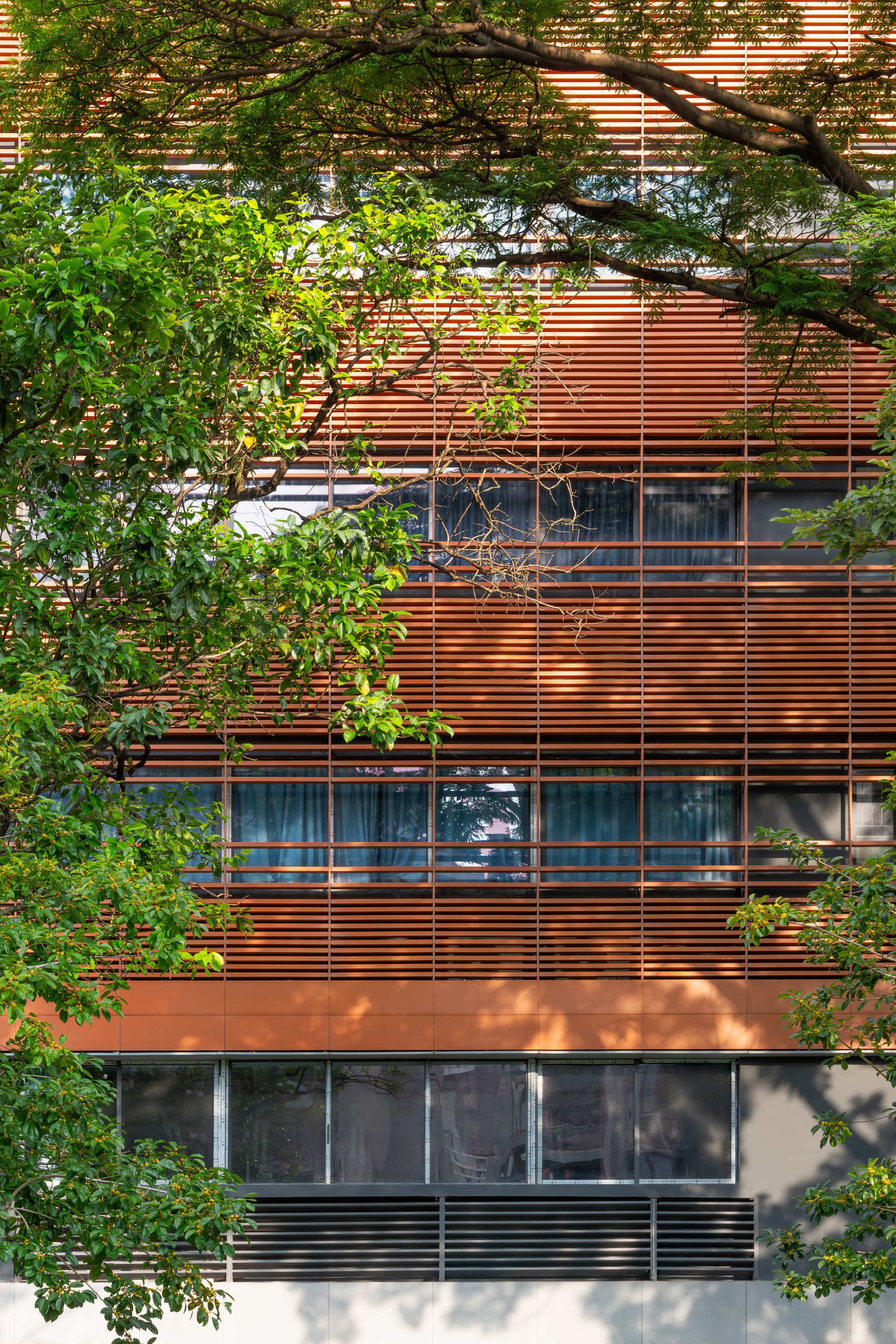Horizontal timber louver facade with glass windows behind overhanging tree branches in dappled sunlight