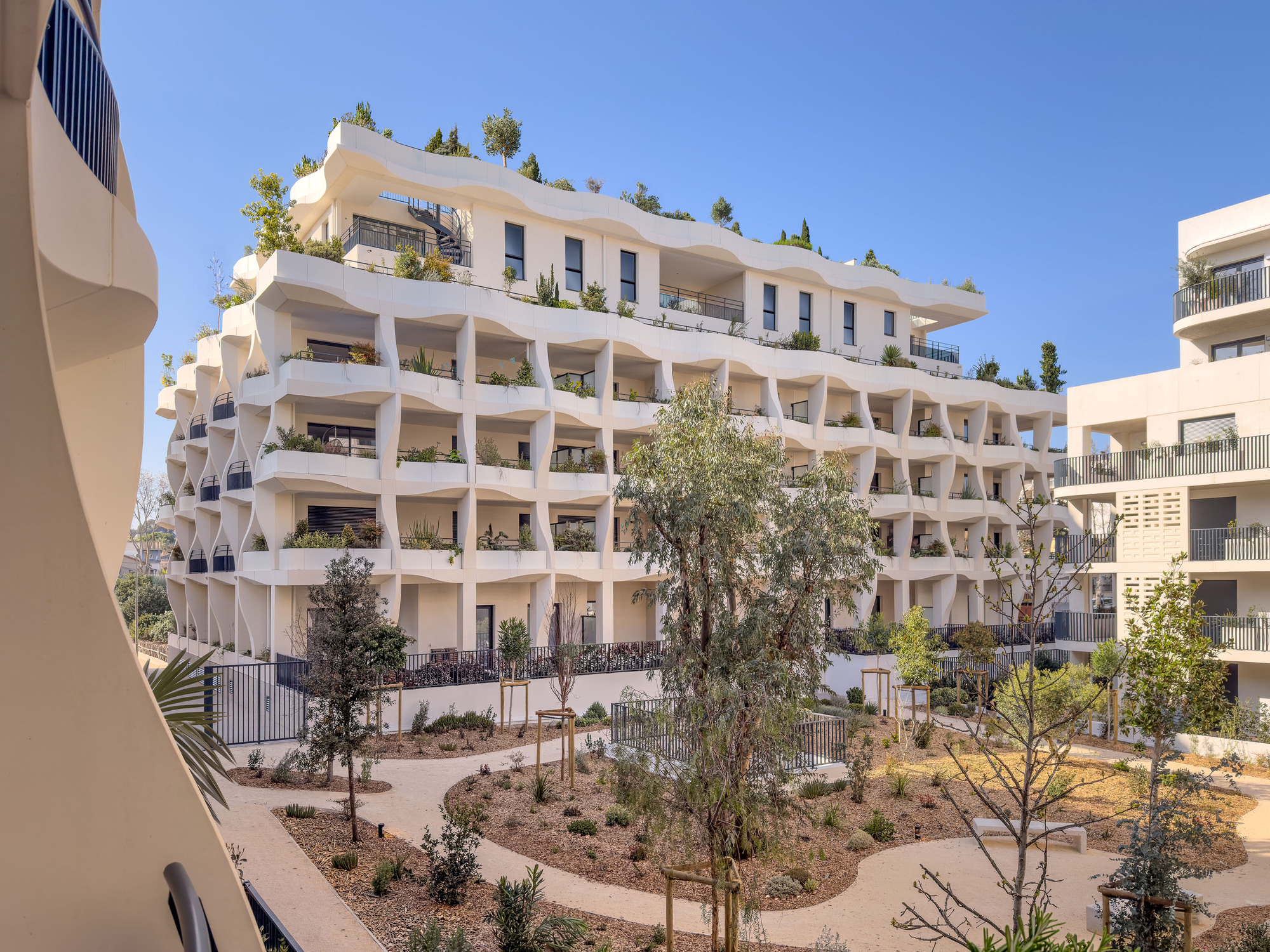 Full facade view across the shared garden with olive trees and curved planting beds