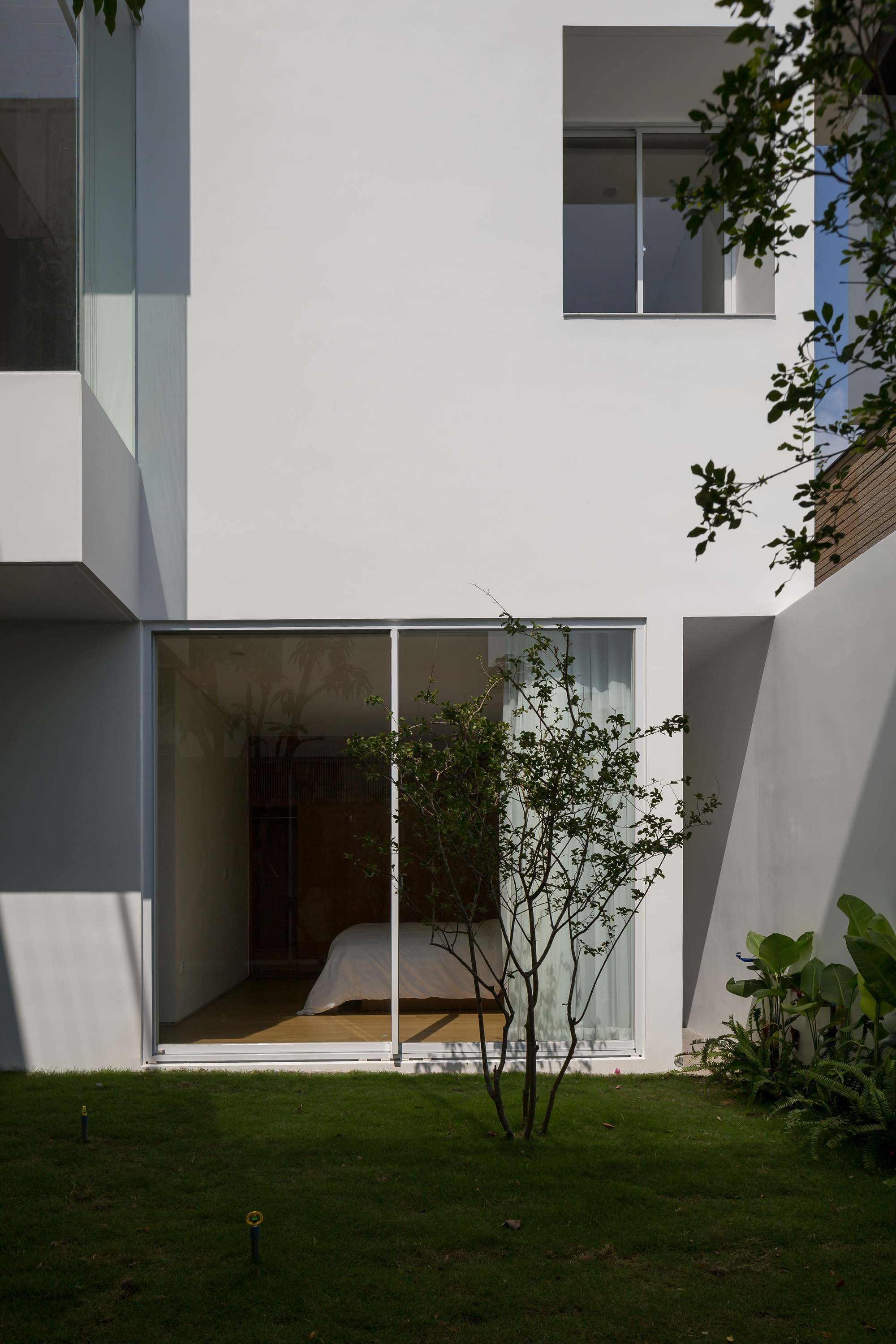 Rear courtyard view with white stucco volumes, glass sliding doors, and a young tree in lawn
