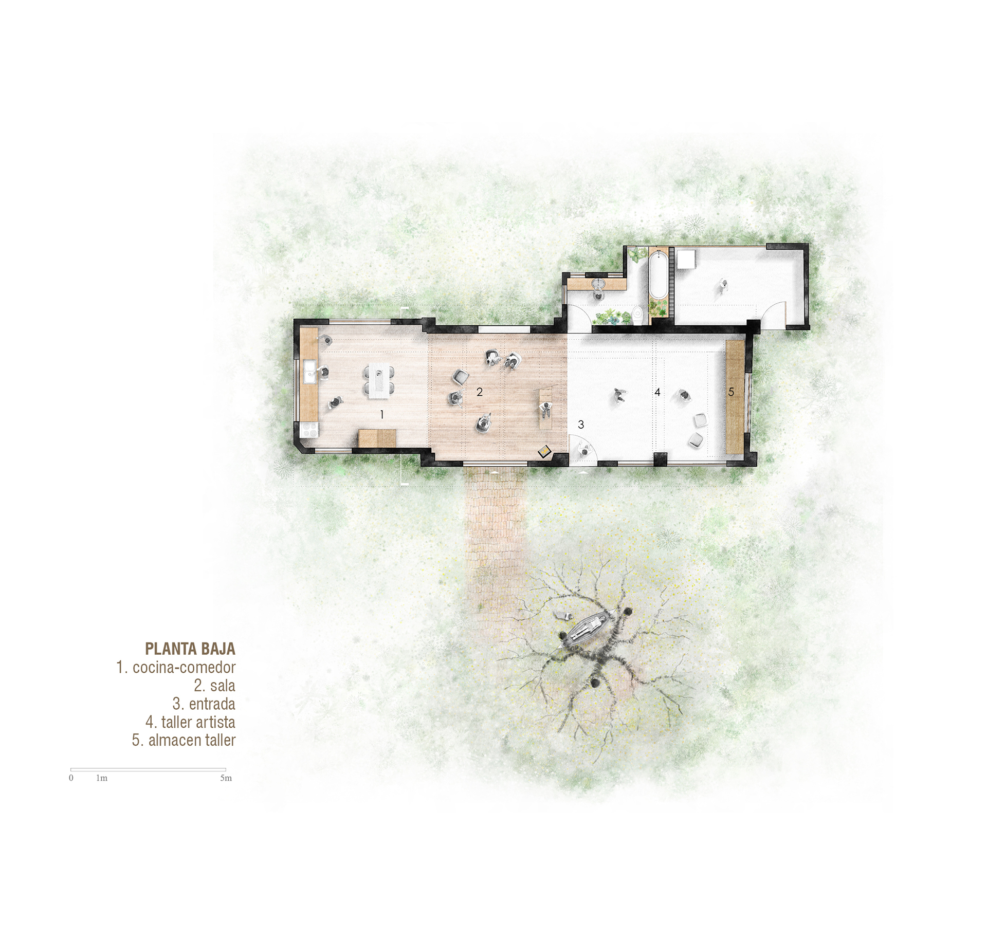 Ground floor plan drawing showing an elongated rectangular volume with interior rooms and surrounding vegetation