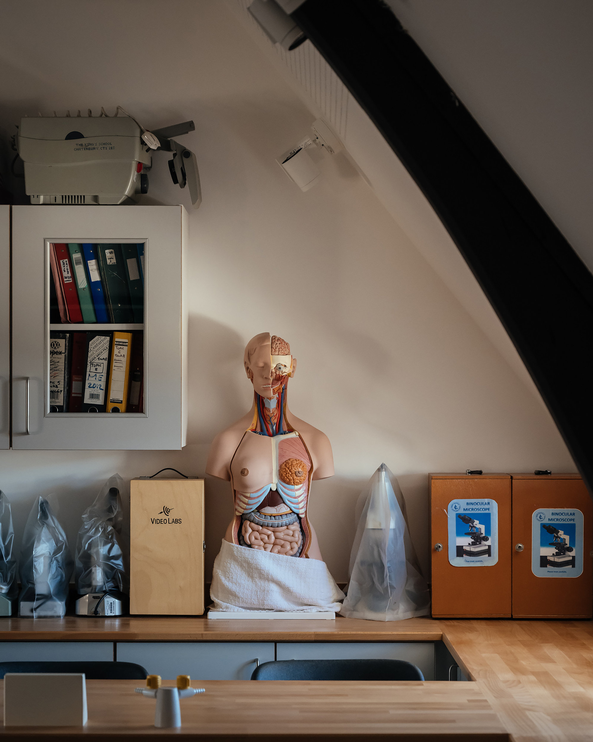 Science lab counter with anatomical model under sloped ceiling with exposed timber rafters