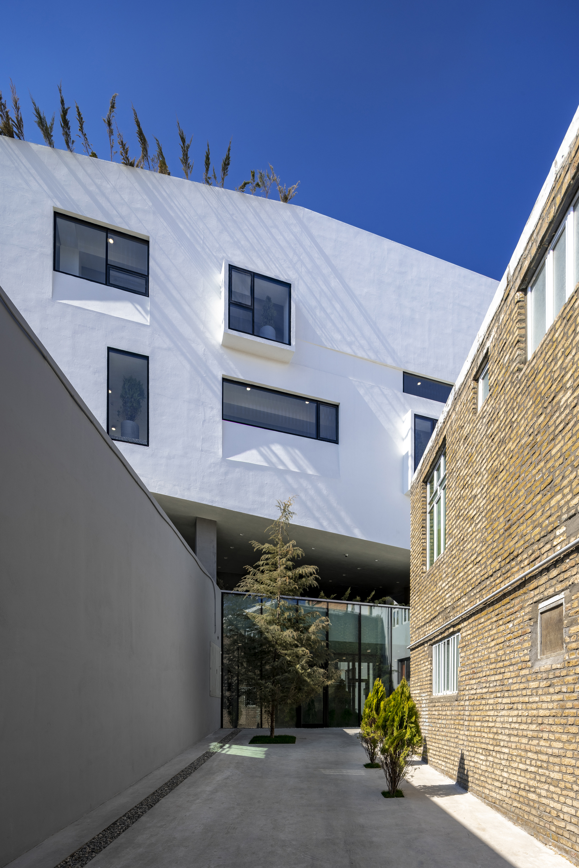 Narrow courtyard between white stucco facade and brick walls with planted trees and paved ground